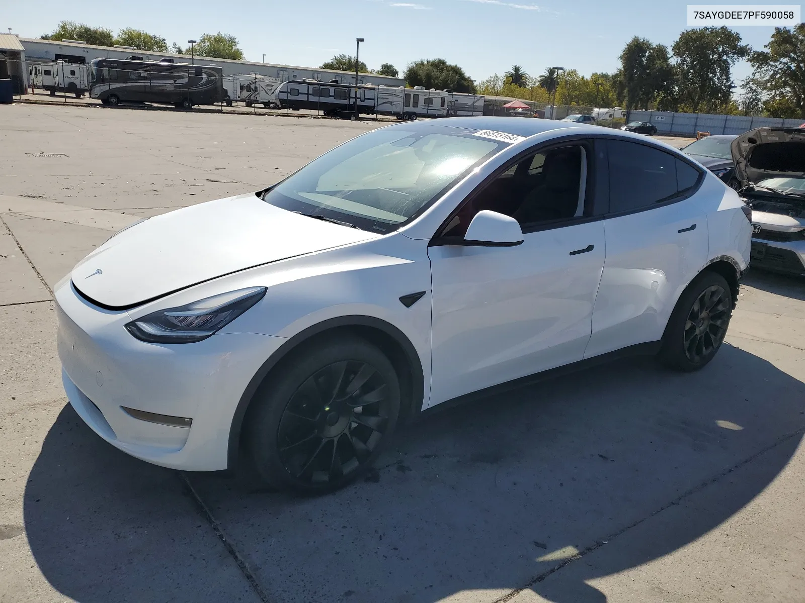 2023 Tesla Model Y VIN: 7SAYGDEE7PF590058 Lot: 66513164