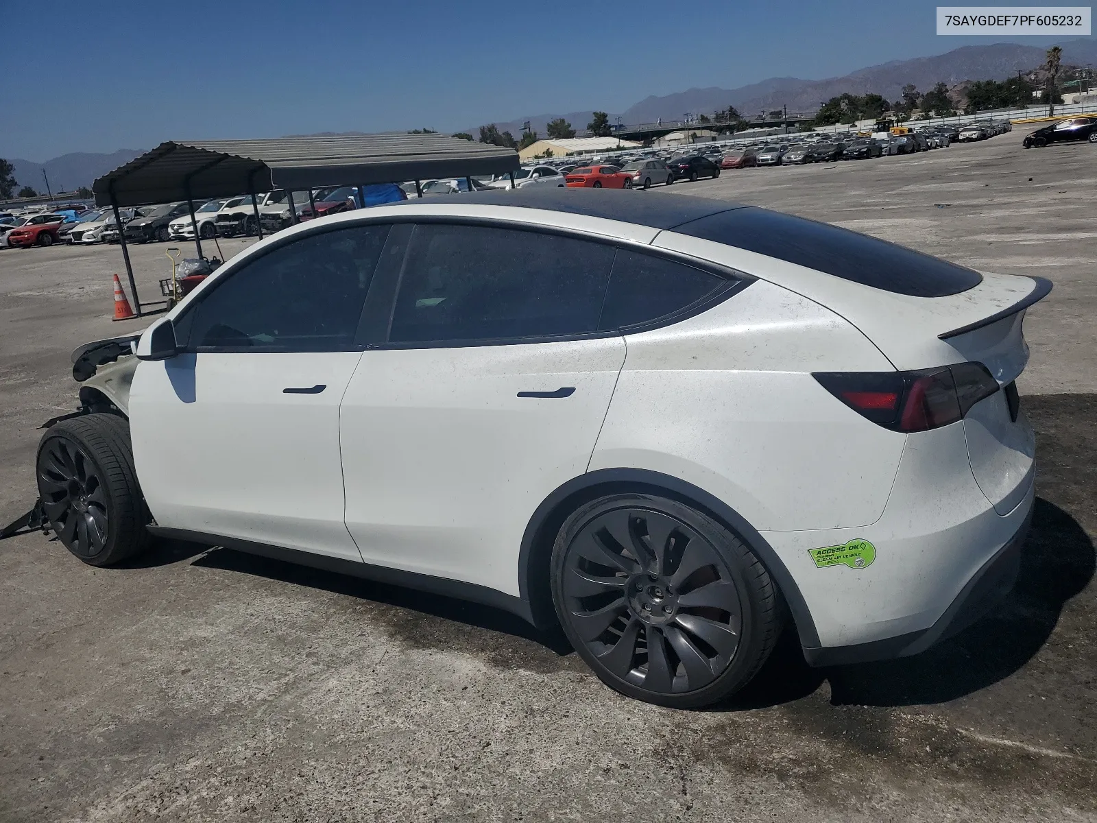 2023 Tesla Model Y VIN: 7SAYGDEF7PF605232 Lot: 66696534