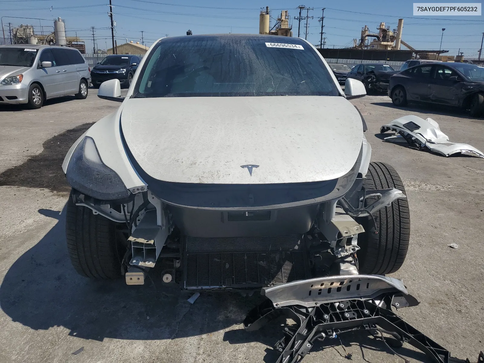 2023 Tesla Model Y VIN: 7SAYGDEF7PF605232 Lot: 66696534