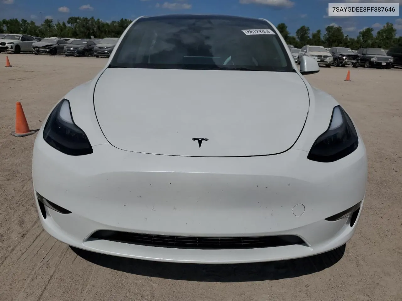 2023 Tesla Model Y VIN: 7SAYGDEE8PF887646 Lot: 66729854