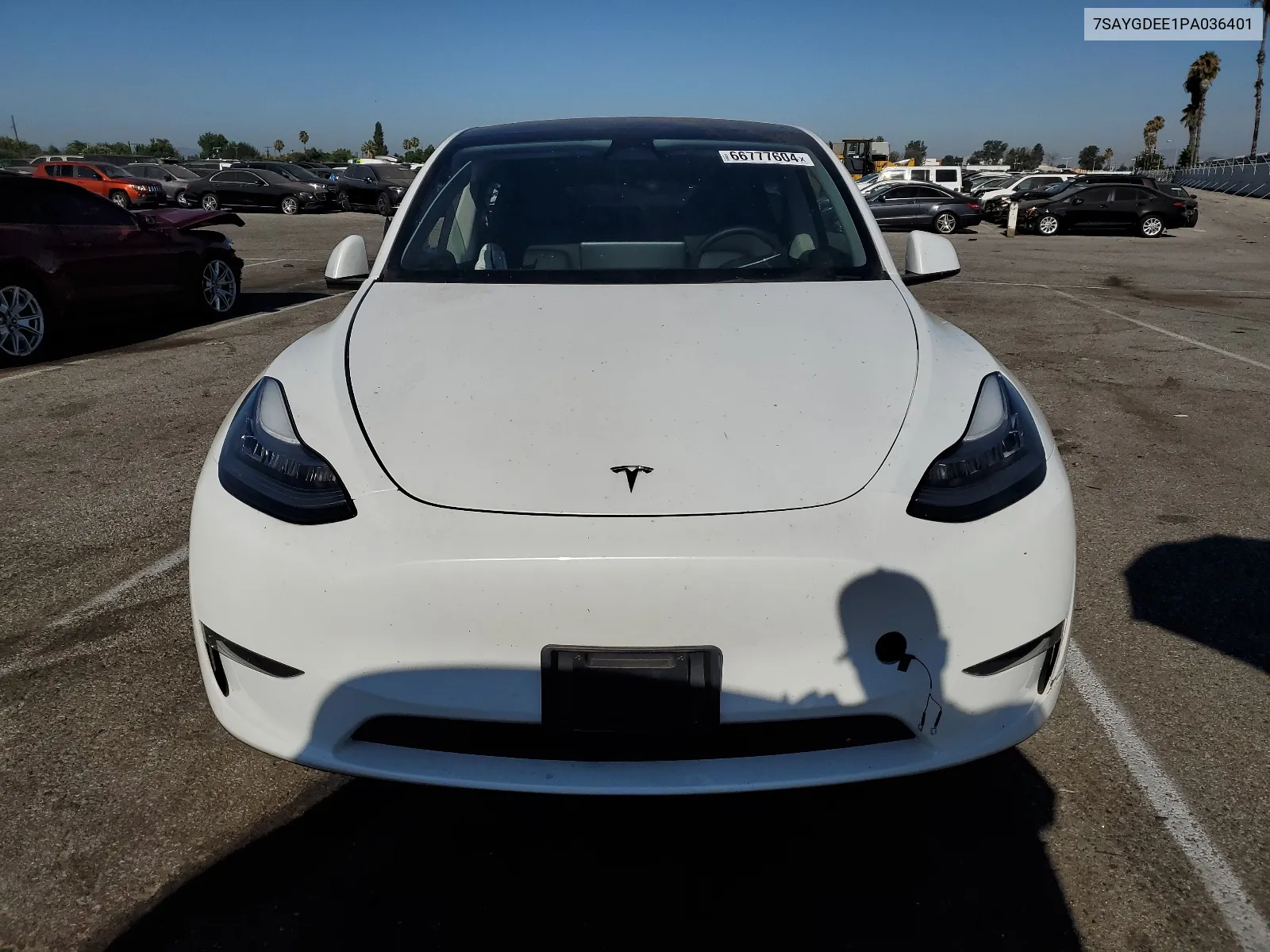 7SAYGDEE1PA036401 2023 Tesla Model Y