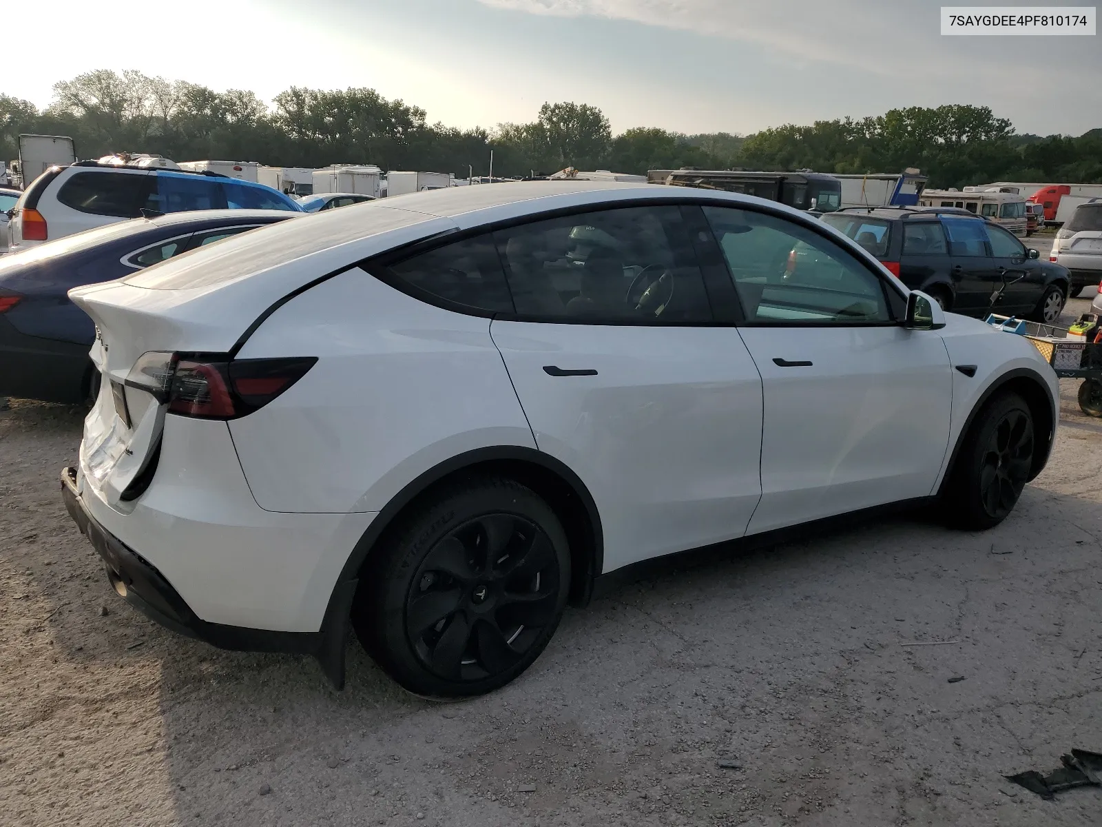 2023 Tesla Model Y VIN: 7SAYGDEE4PF810174 Lot: 67366084