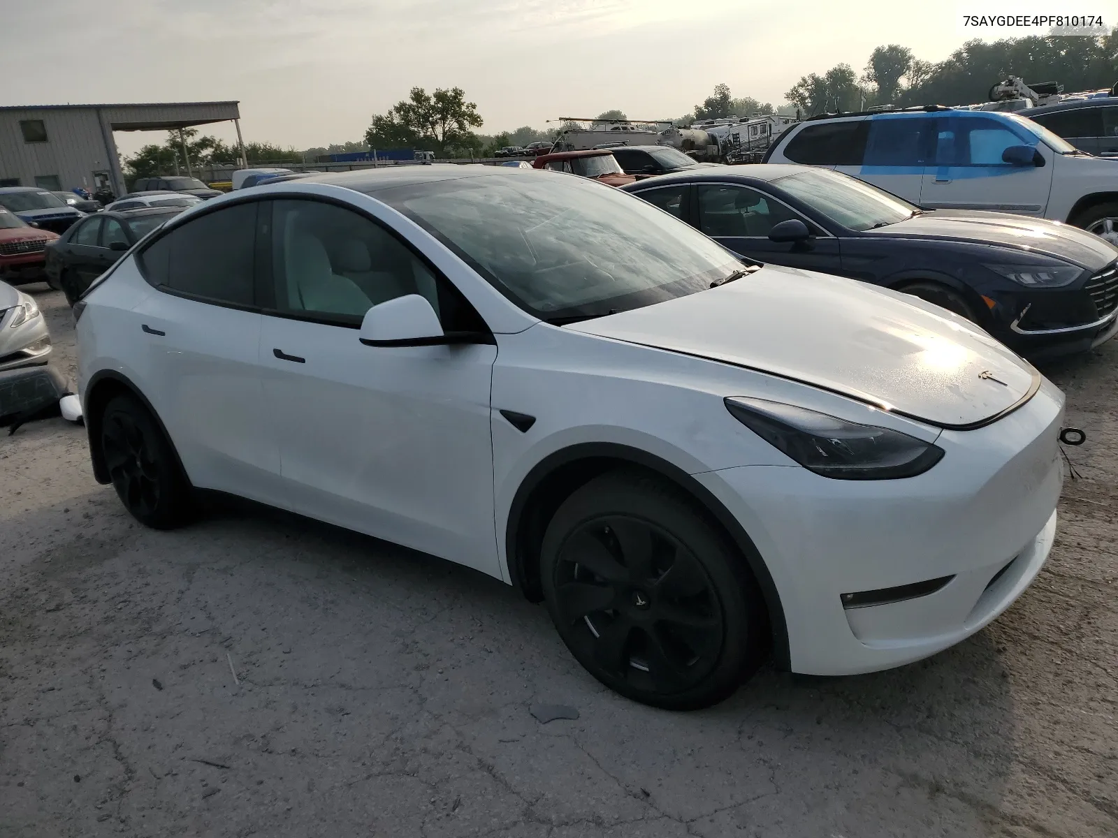 7SAYGDEE4PF810174 2023 Tesla Model Y