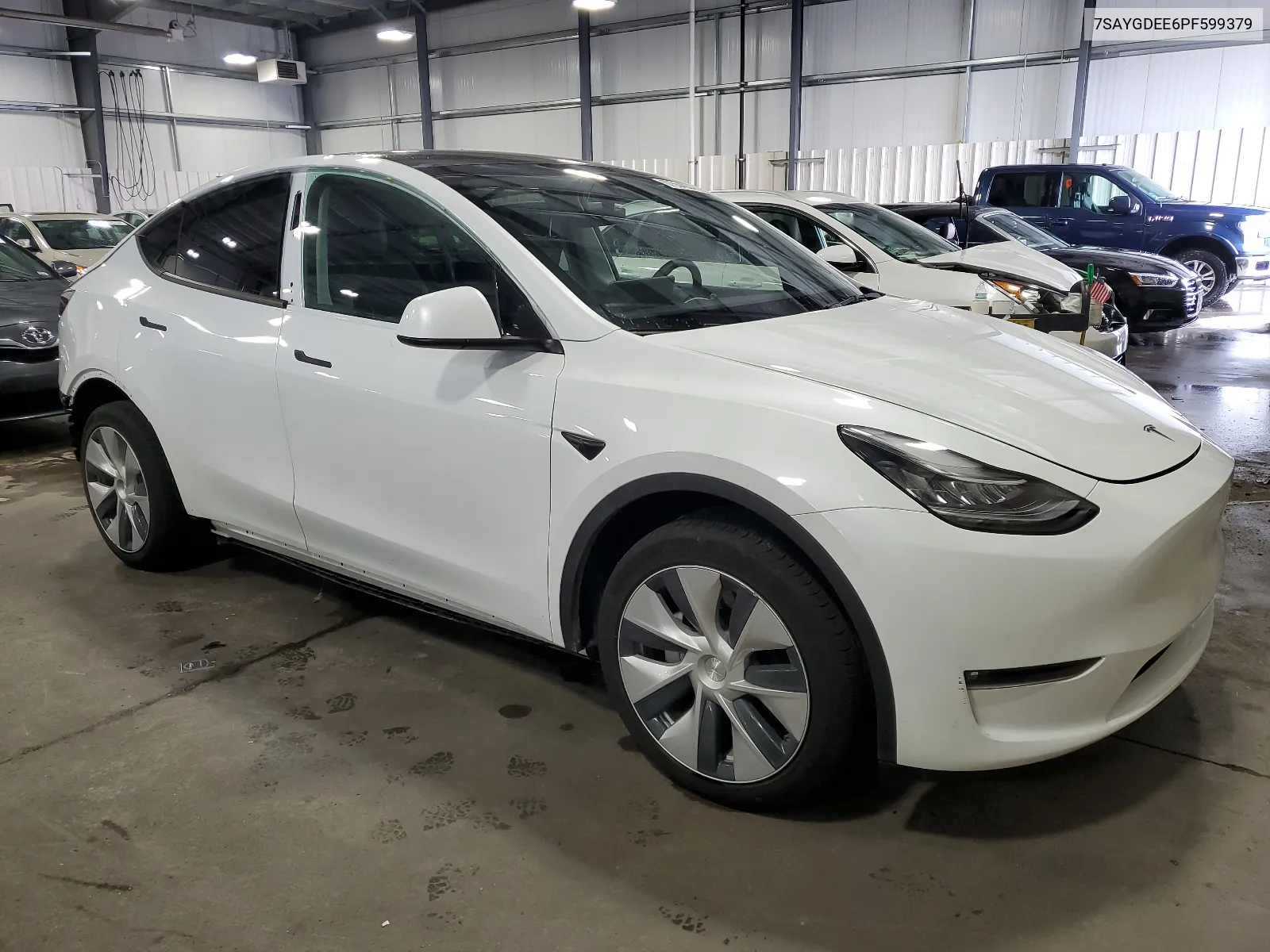 2023 Tesla Model Y VIN: 7SAYGDEE6PF599379 Lot: 67554034