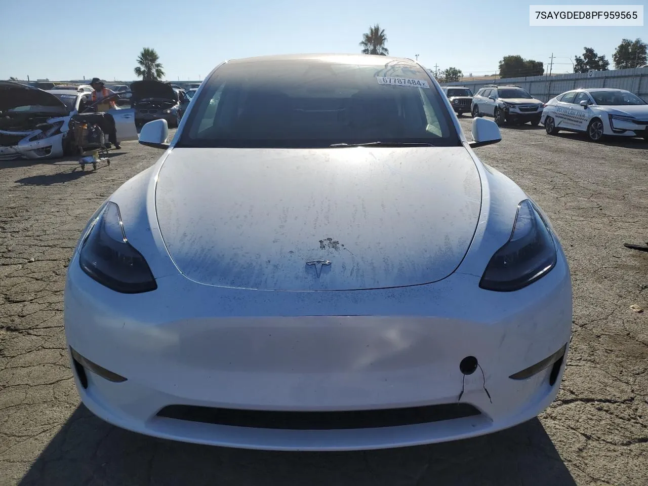 2023 Tesla Model Y VIN: 7SAYGDED8PF959565 Lot: 67787484