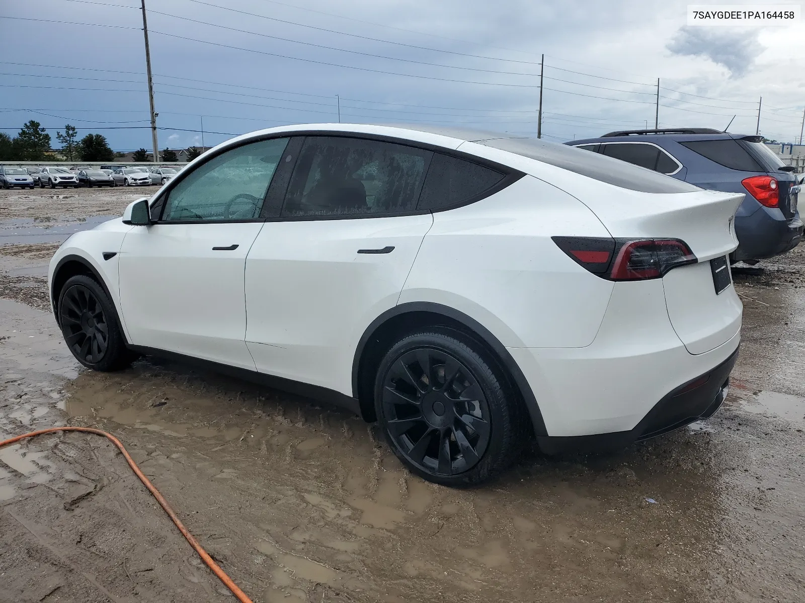 2023 Tesla Model Y VIN: 7SAYGDEE1PA164458 Lot: 67873434