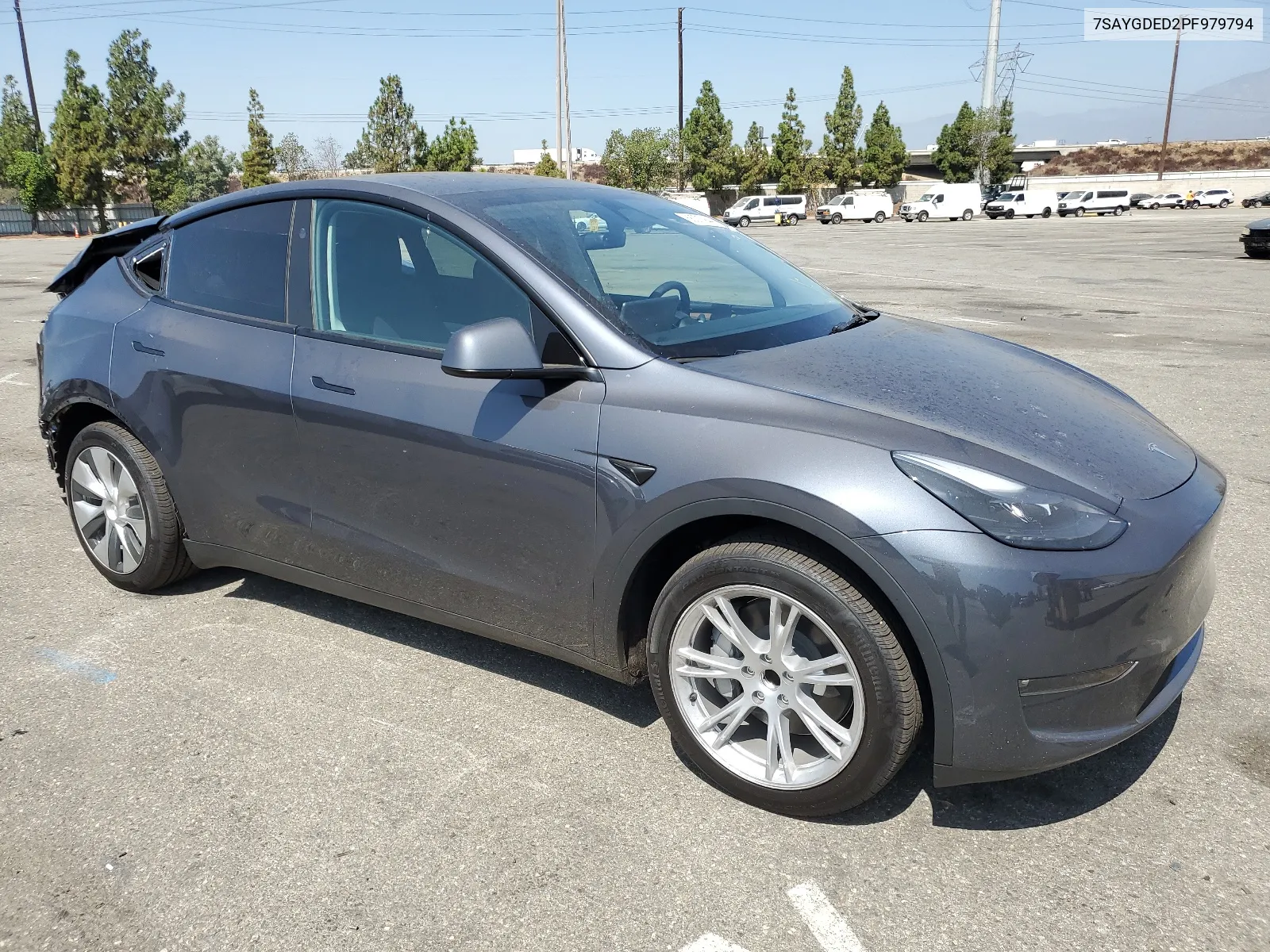 2023 Tesla Model Y VIN: 7SAYGDED2PF979794 Lot: 68373944