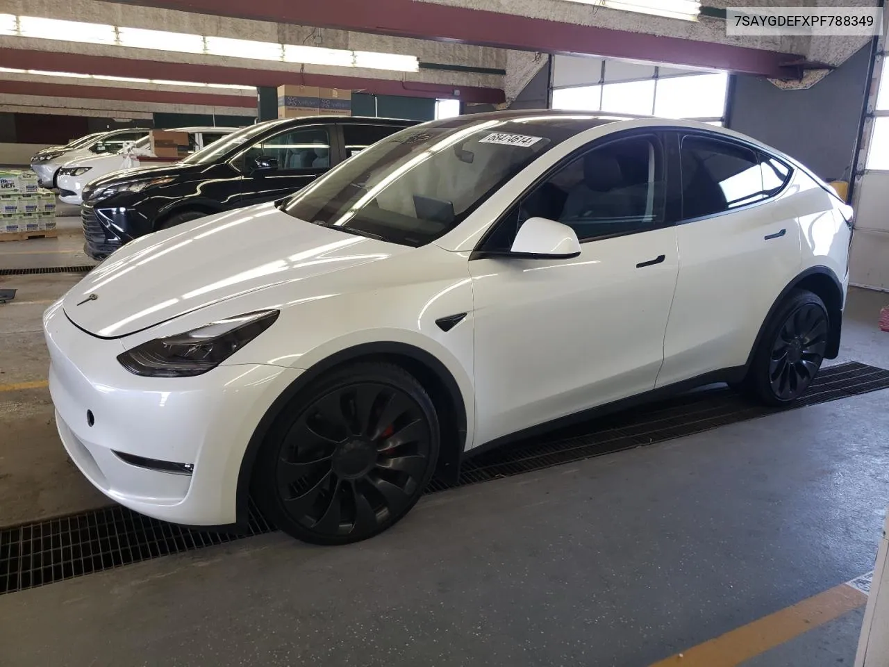 7SAYGDEFXPF788349 2023 Tesla Model Y