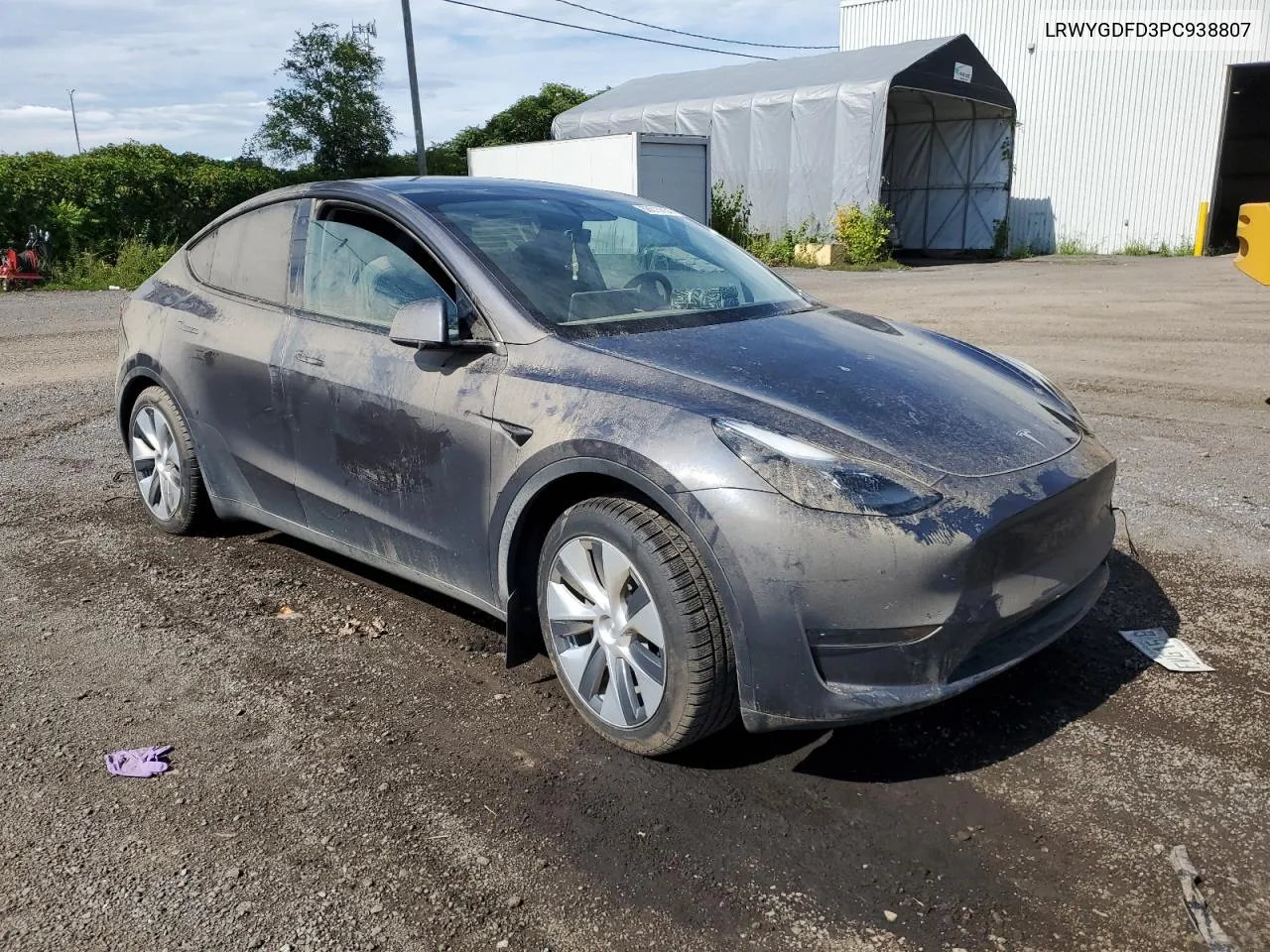 2023 Tesla Model Y VIN: LRWYGDFD3PC938807 Lot: 68815834