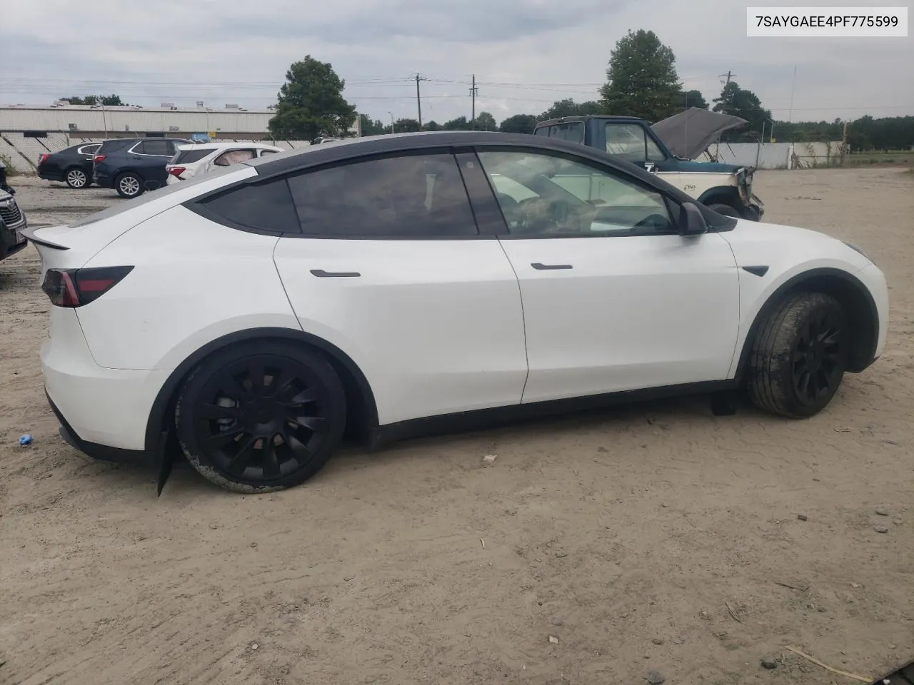 2023 Tesla Model Y VIN: 7SAYGAEE4PF775599 Lot: 68896584