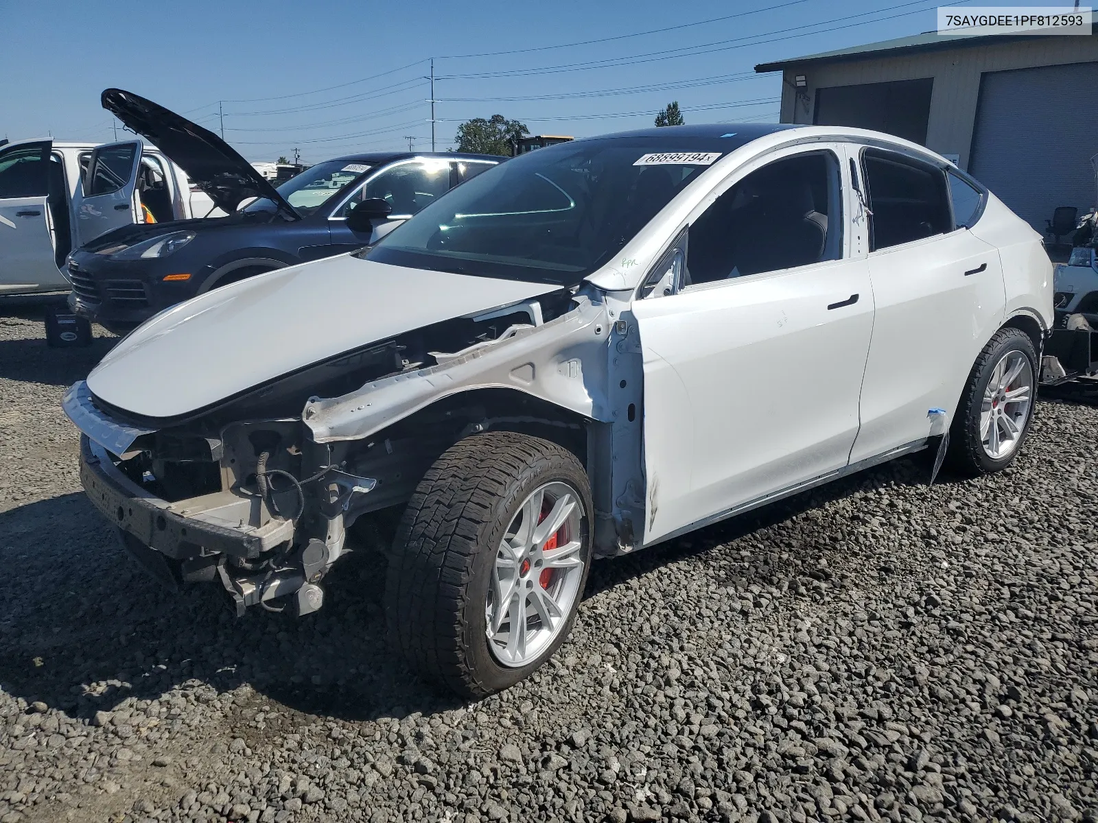 2023 Tesla Model Y VIN: 7SAYGDEE1PF812593 Lot: 68899194