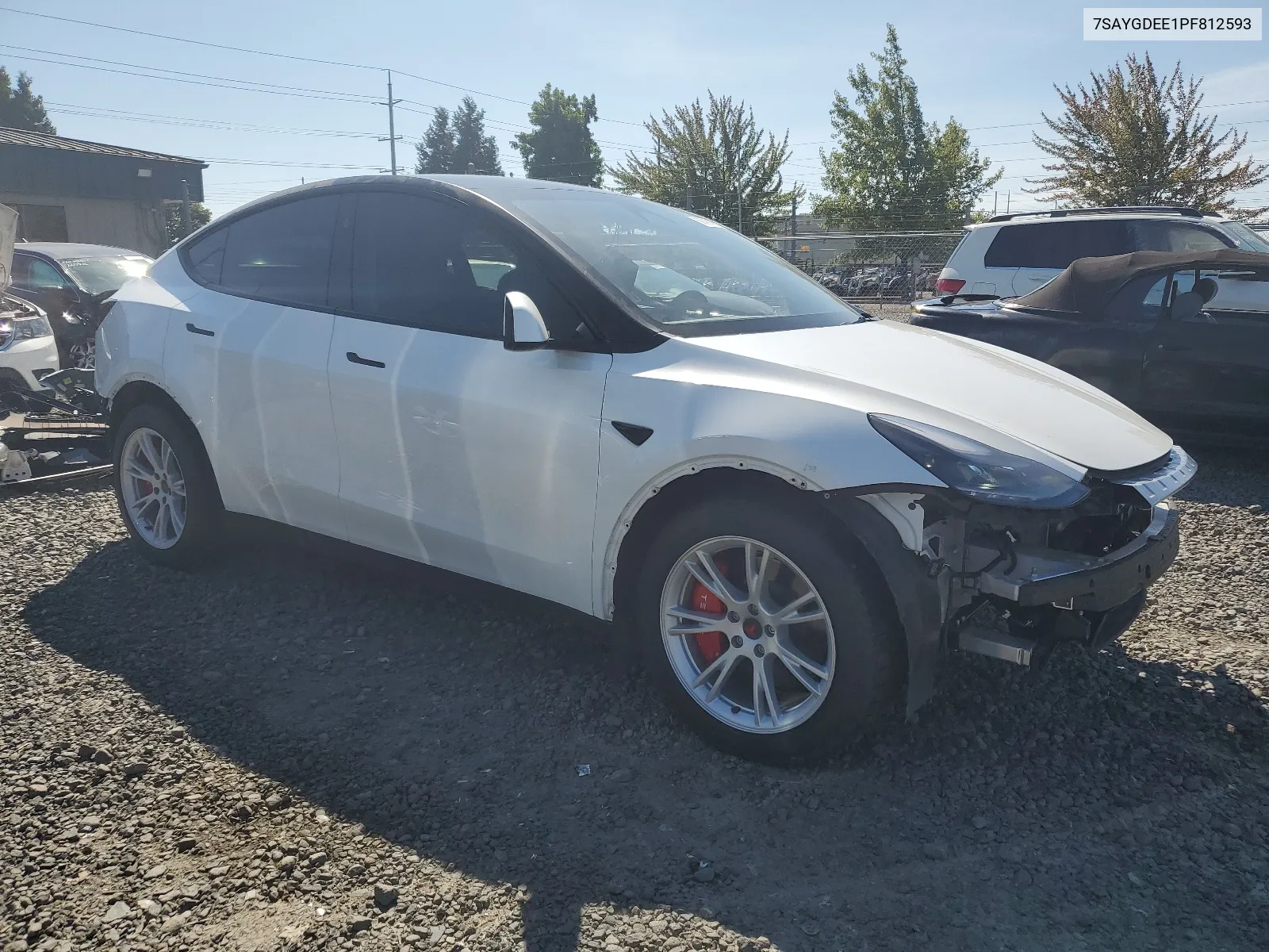 2023 Tesla Model Y VIN: 7SAYGDEE1PF812593 Lot: 68899194