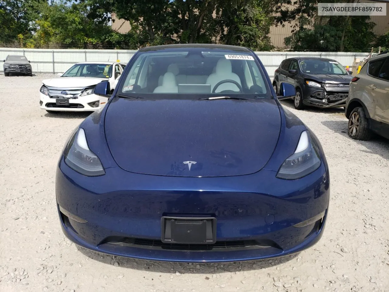 2023 Tesla Model Y VIN: 7SAYGDEE8PF859782 Lot: 69051874