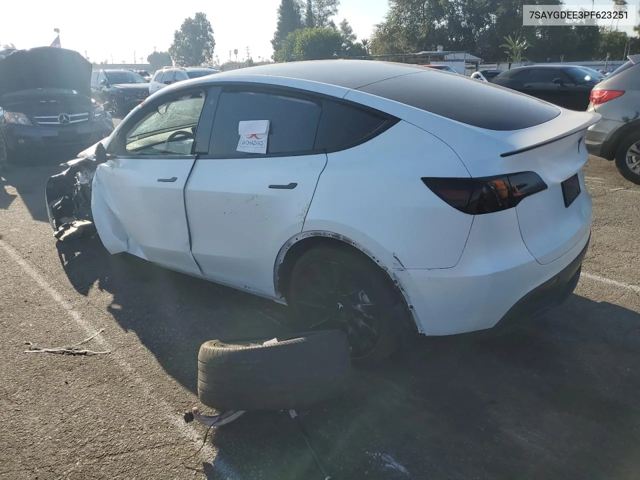 2023 Tesla Model Y VIN: 7SAYGDEE3PF623251 Lot: 69093254