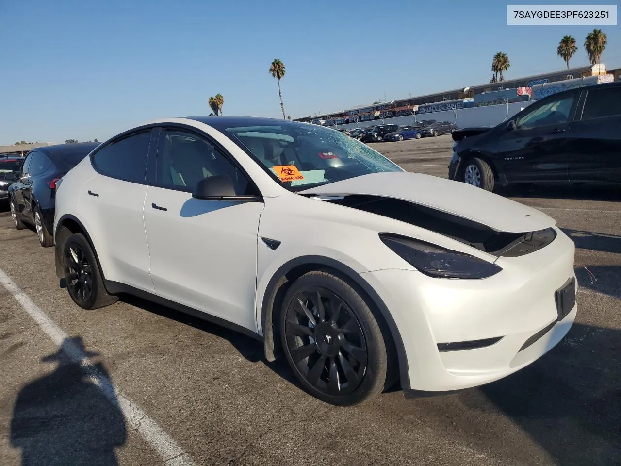 2023 Tesla Model Y VIN: 7SAYGDEE3PF623251 Lot: 69093254