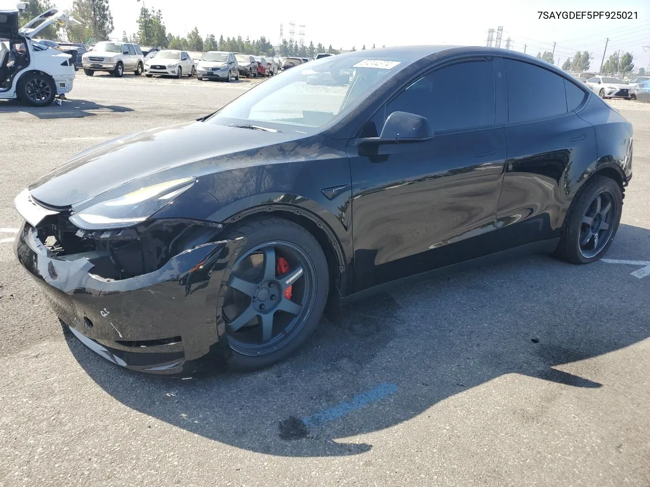 7SAYGDEF5PF925021 2023 Tesla Model Y