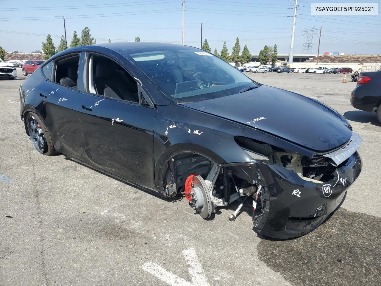 2023 Tesla Model Y VIN: 7SAYGDEF5PF925021 Lot: 69244374