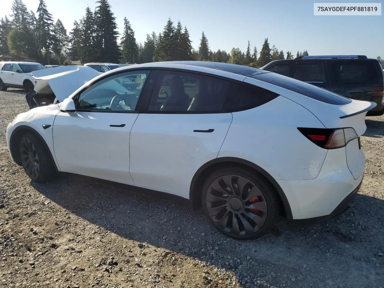 2023 Tesla Model Y VIN: 7SAYGDEF4PF881819 Lot: 69432324