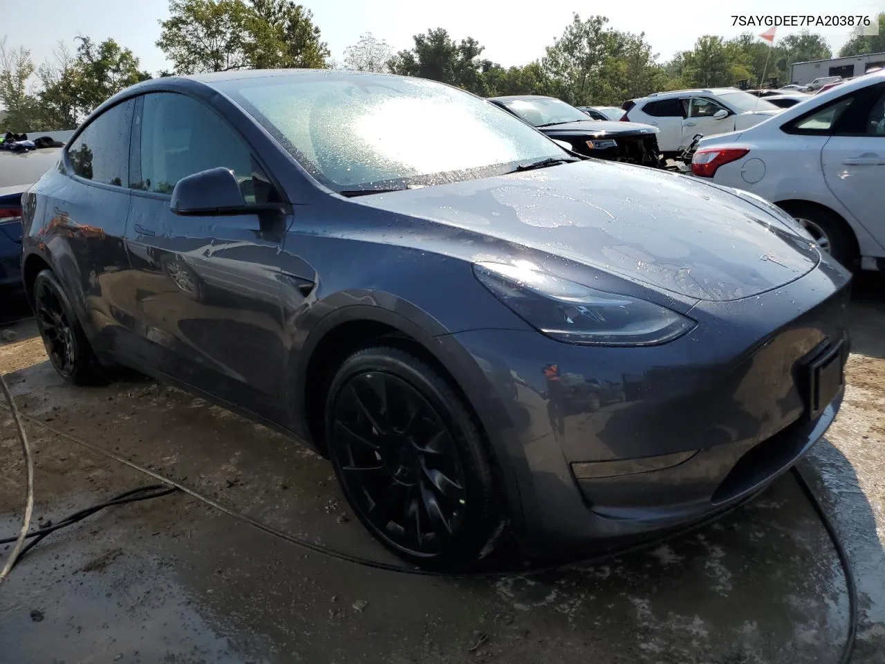 2023 Tesla Model Y VIN: 7SAYGDEE7PA203876 Lot: 69687264