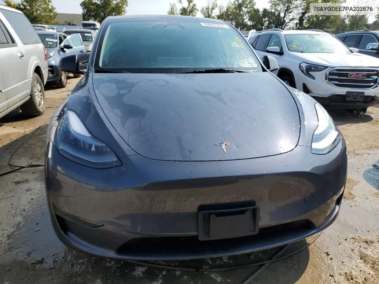 2023 Tesla Model Y VIN: 7SAYGDEE7PA203876 Lot: 69687264