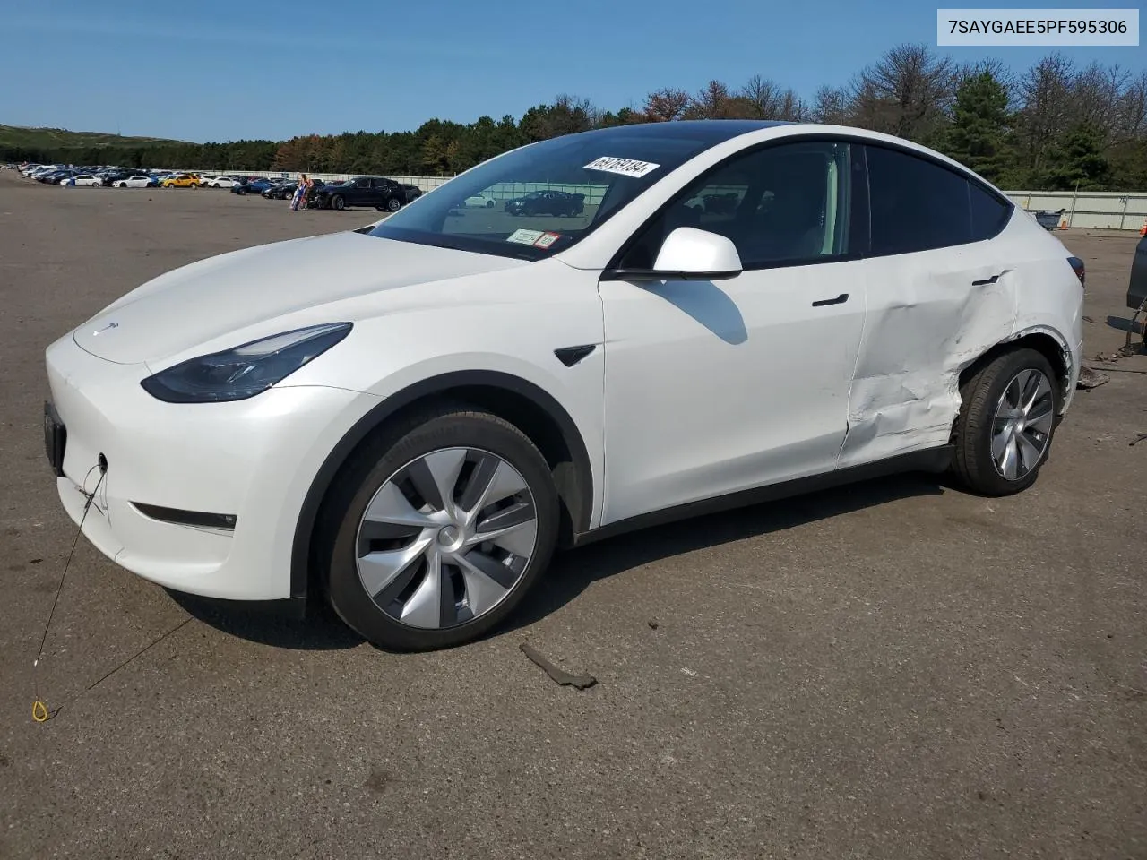 2023 Tesla Model Y VIN: 7SAYGAEE5PF595306 Lot: 69769184