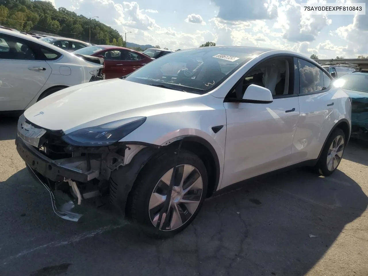 2023 Tesla Model Y VIN: 7SAYGDEEXPF810843 Lot: 69861724