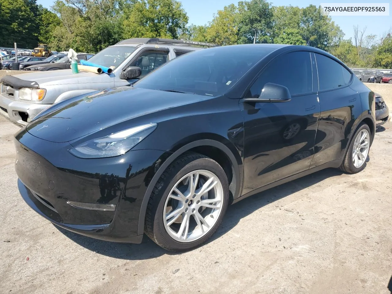 2023 Tesla Model Y VIN: 7SAYGAEE0PF925563 Lot: 69932494