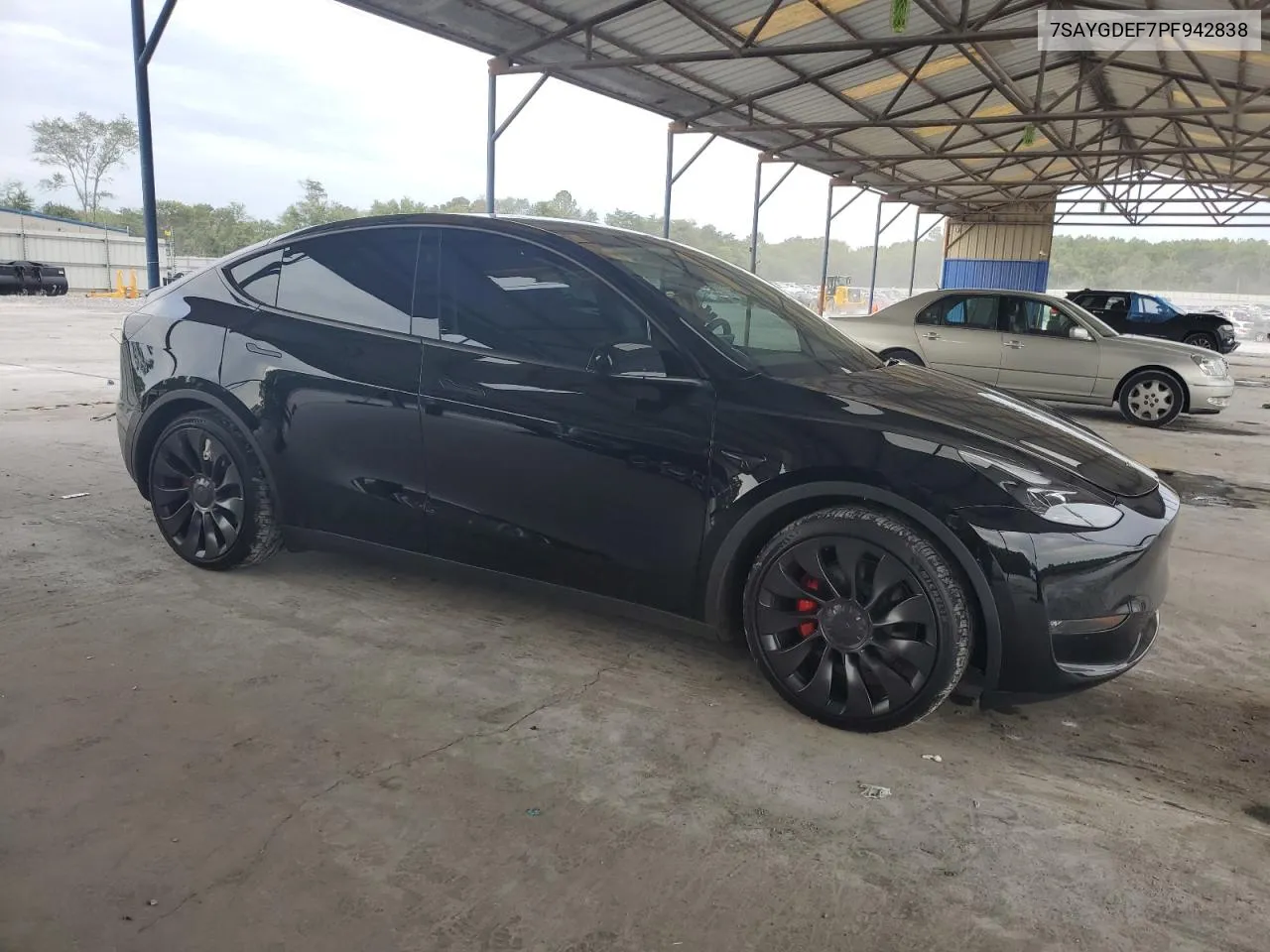 2023 Tesla Model Y VIN: 7SAYGDEF7PF942838 Lot: 69992434