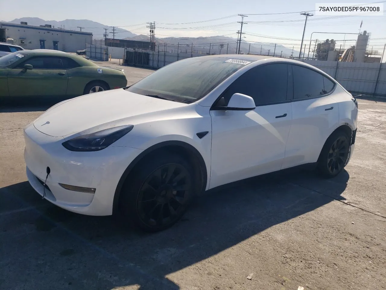 2023 Tesla Model Y VIN: 7SAYGDED5PF967008 Lot: 70088864