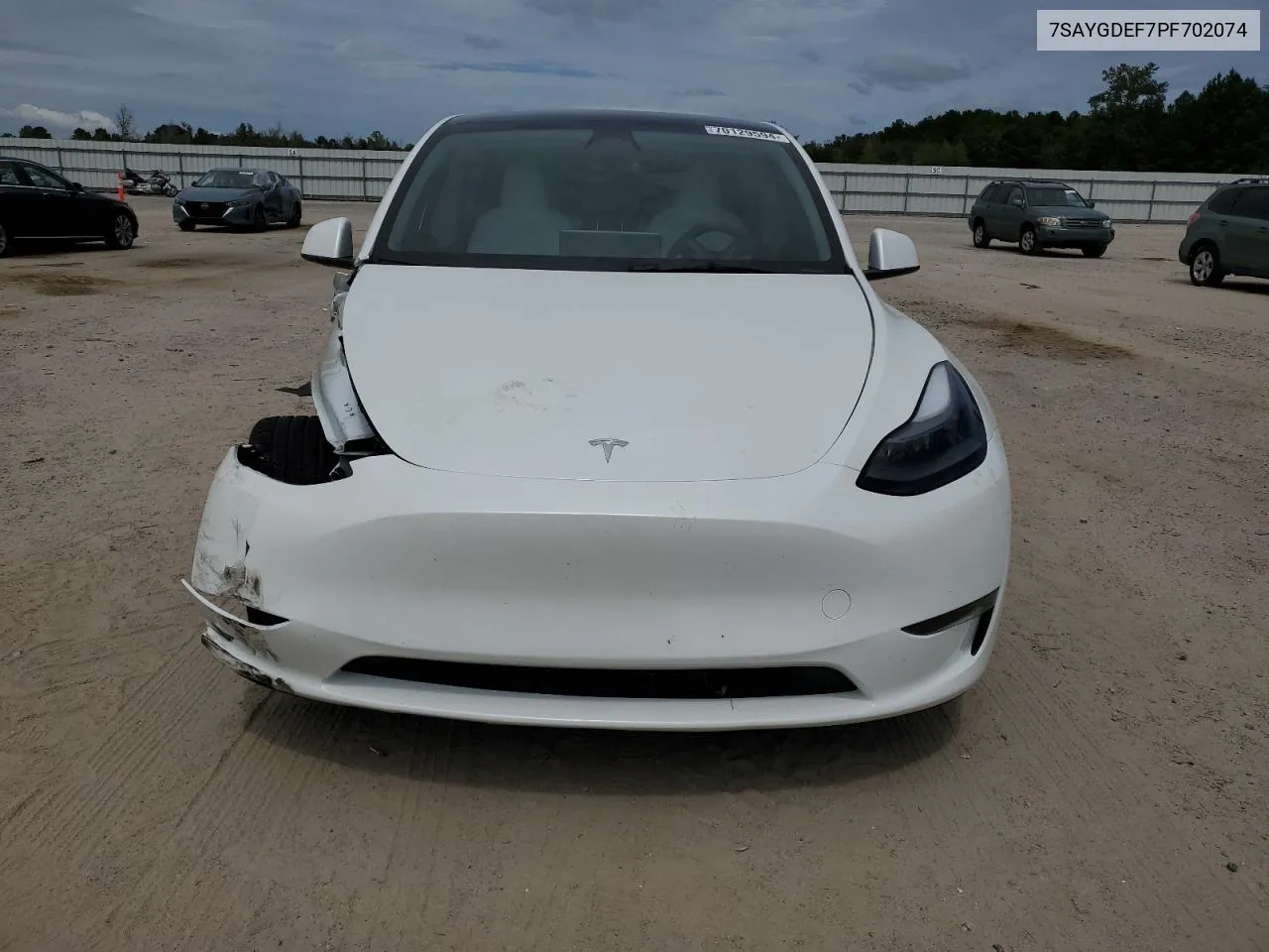 2023 Tesla Model Y VIN: 7SAYGDEF7PF702074 Lot: 70129594