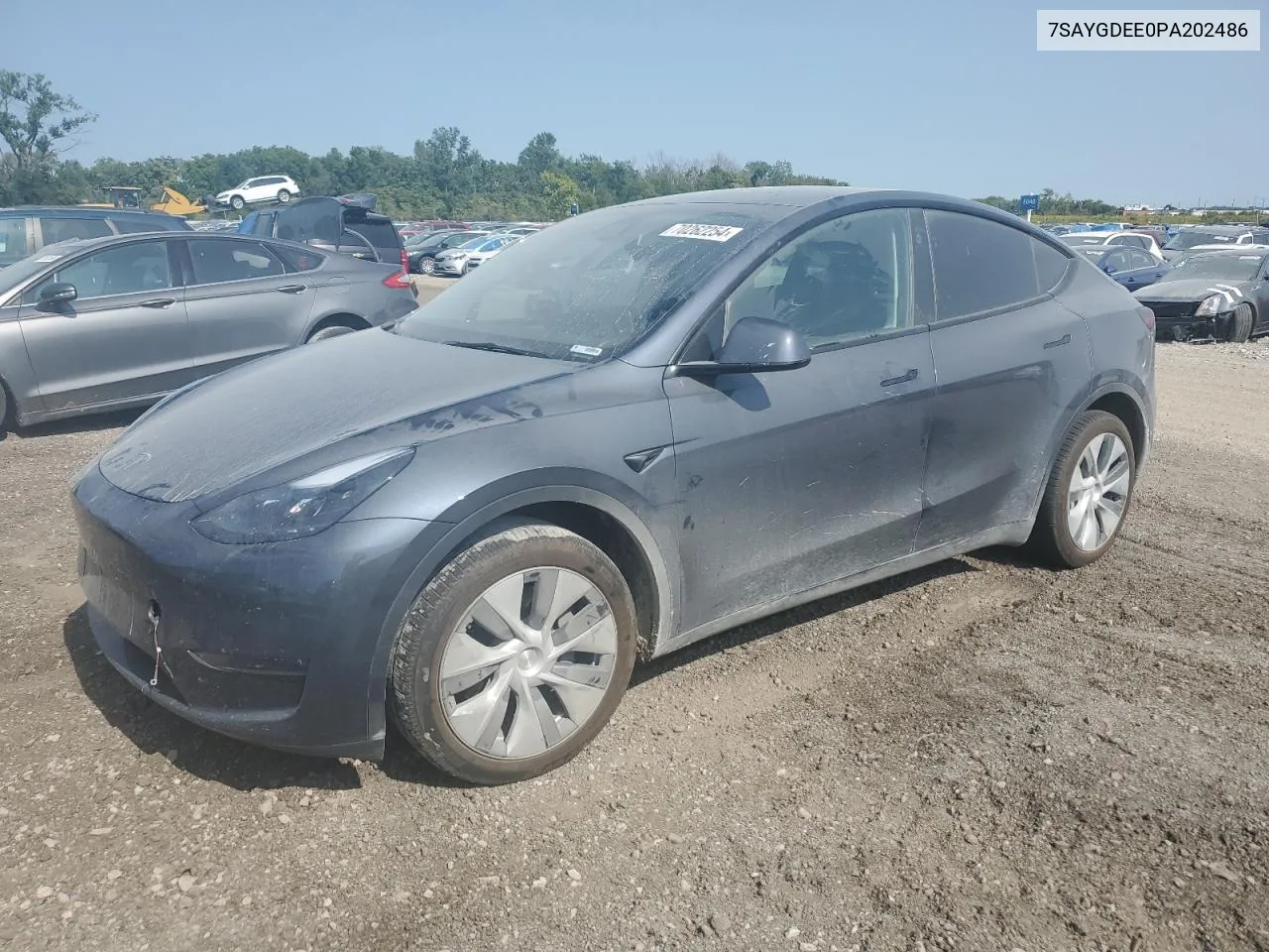 2023 Tesla Model Y VIN: 7SAYGDEE0PA202486 Lot: 70262254