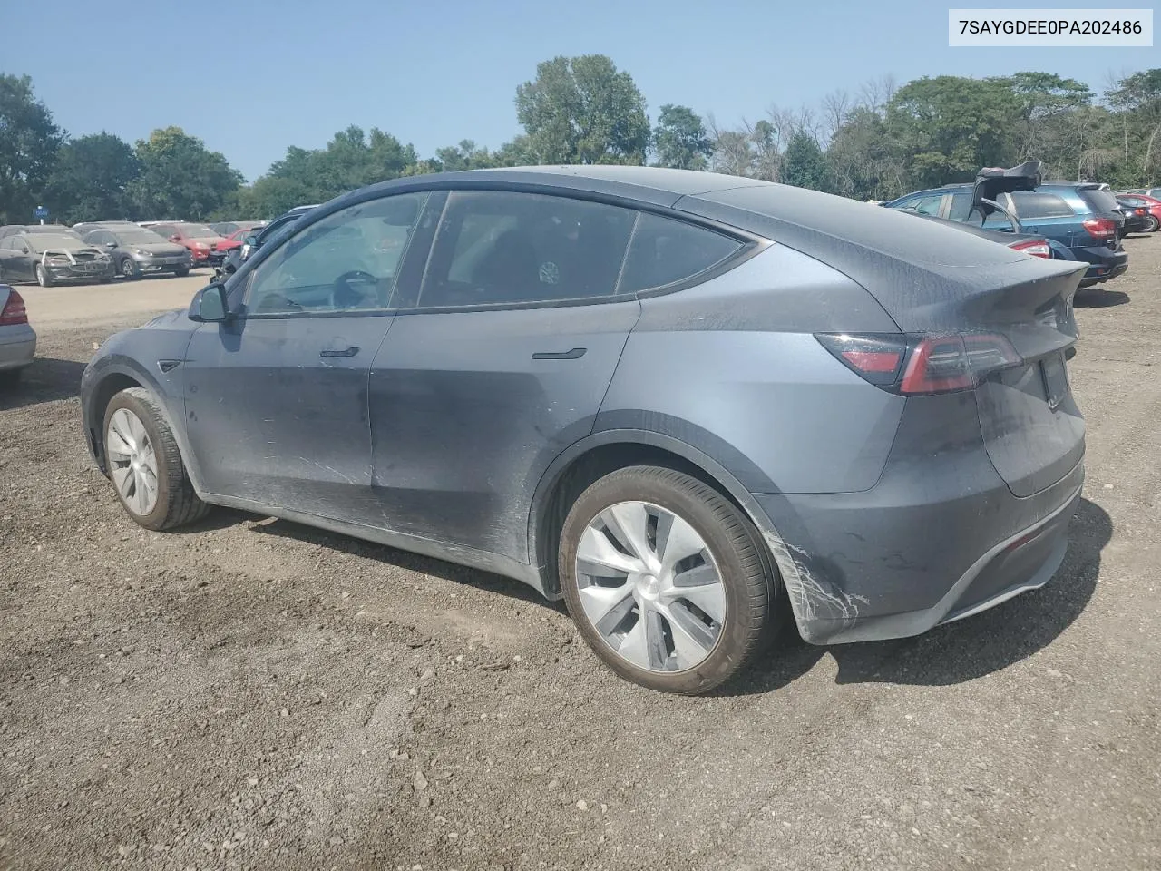 2023 Tesla Model Y VIN: 7SAYGDEE0PA202486 Lot: 70262254