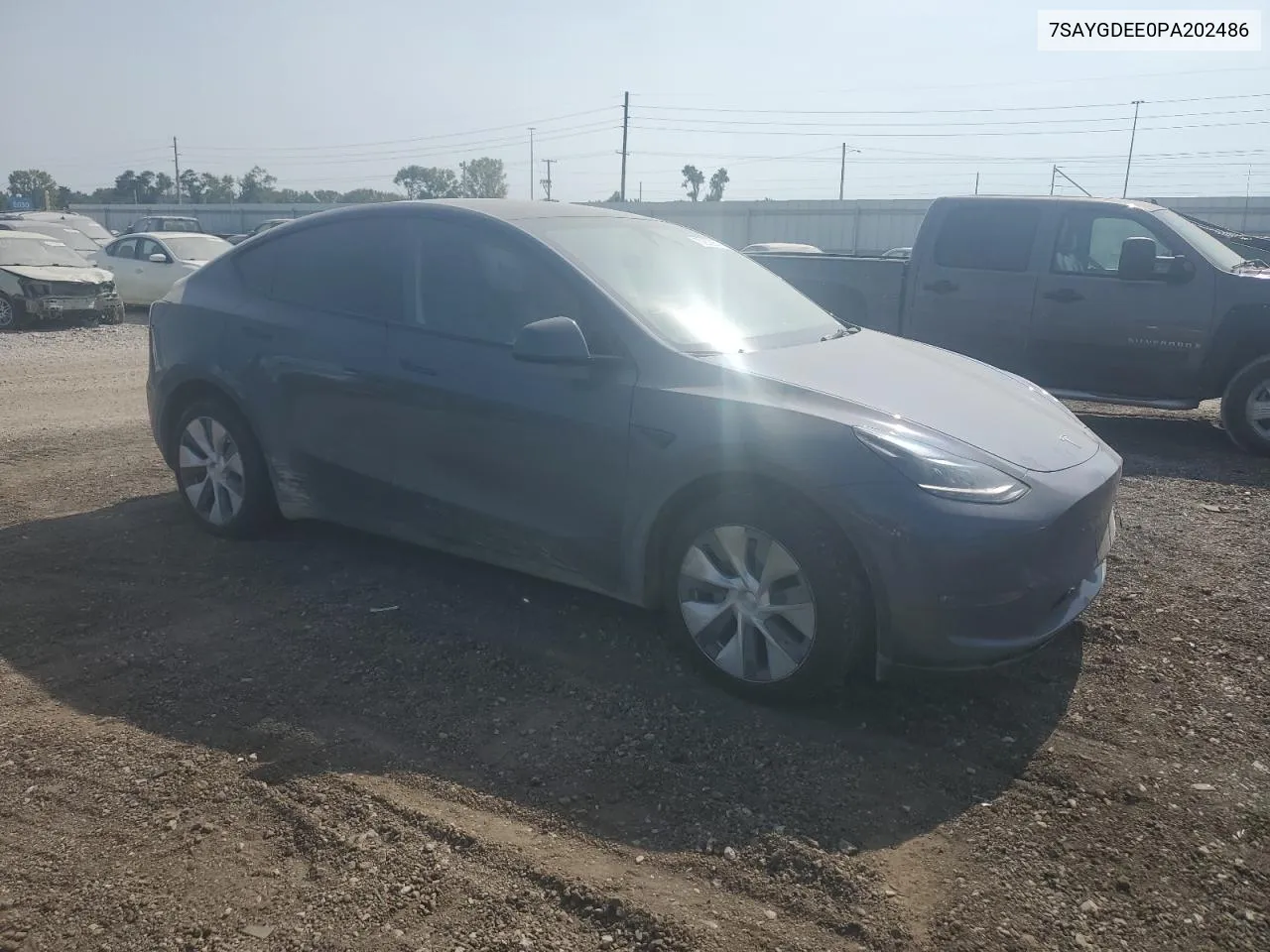 2023 Tesla Model Y VIN: 7SAYGDEE0PA202486 Lot: 70262254