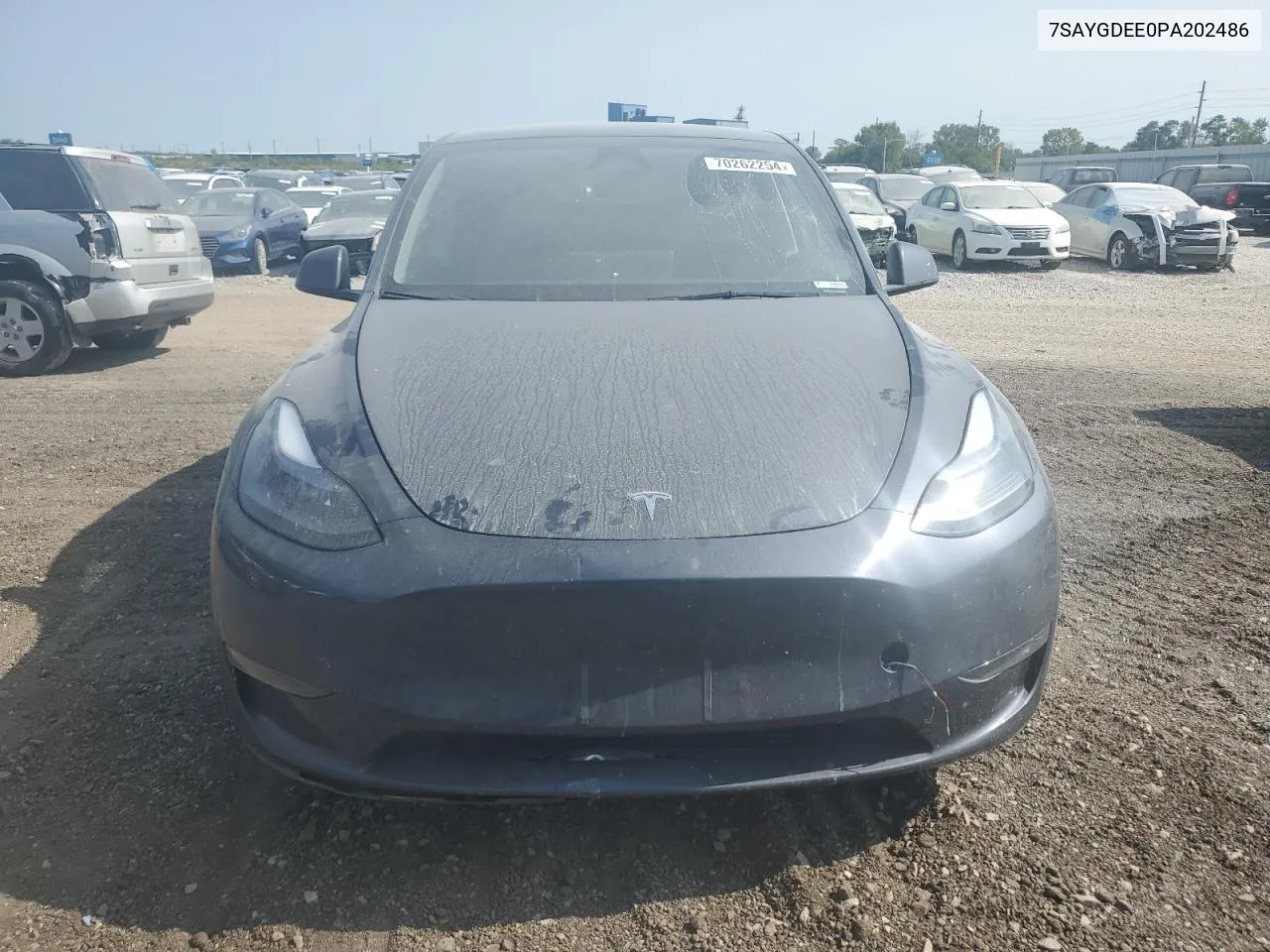 2023 Tesla Model Y VIN: 7SAYGDEE0PA202486 Lot: 70262254