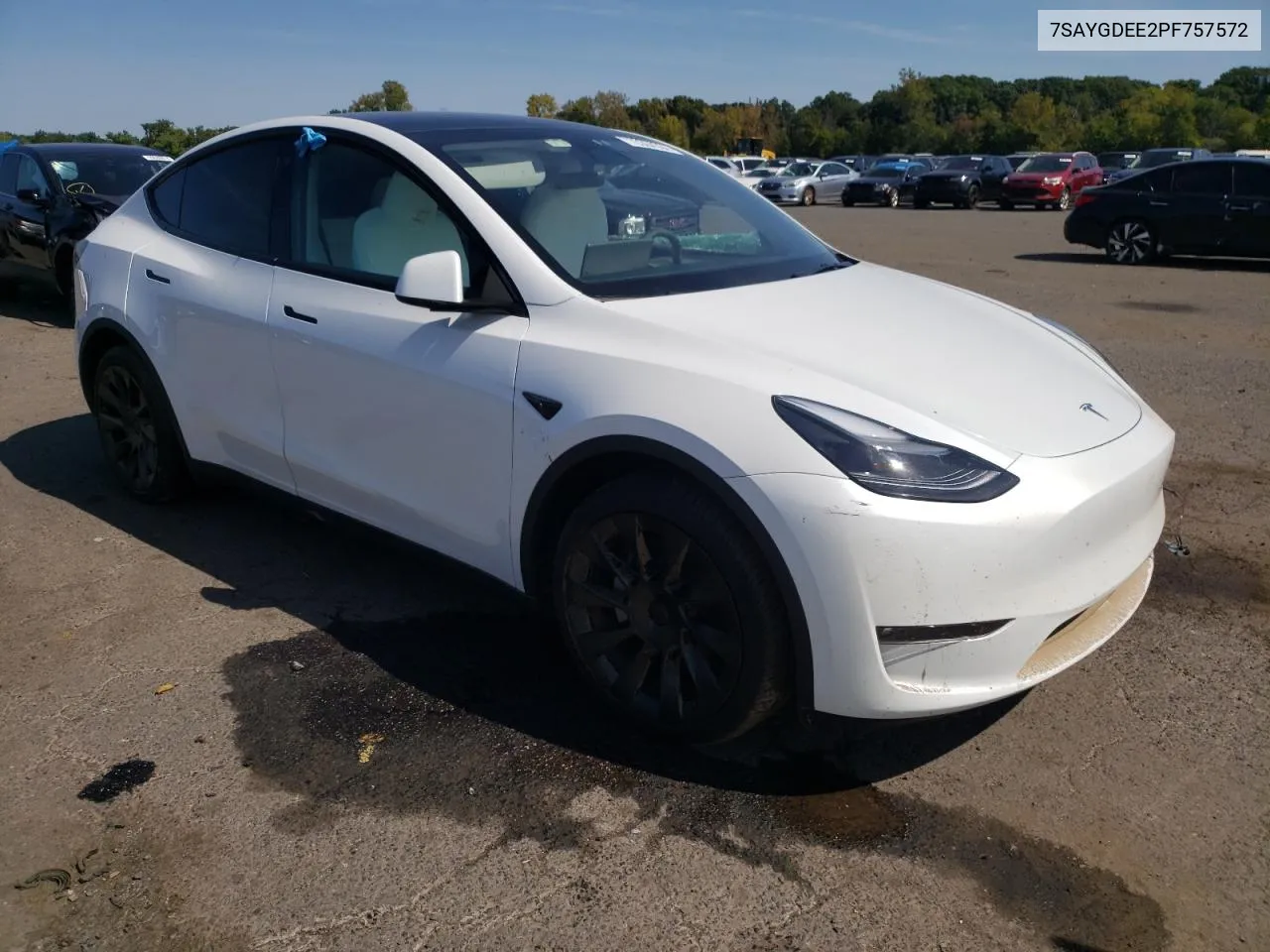 2023 Tesla Model Y VIN: 7SAYGDEE2PF757572 Lot: 70364304