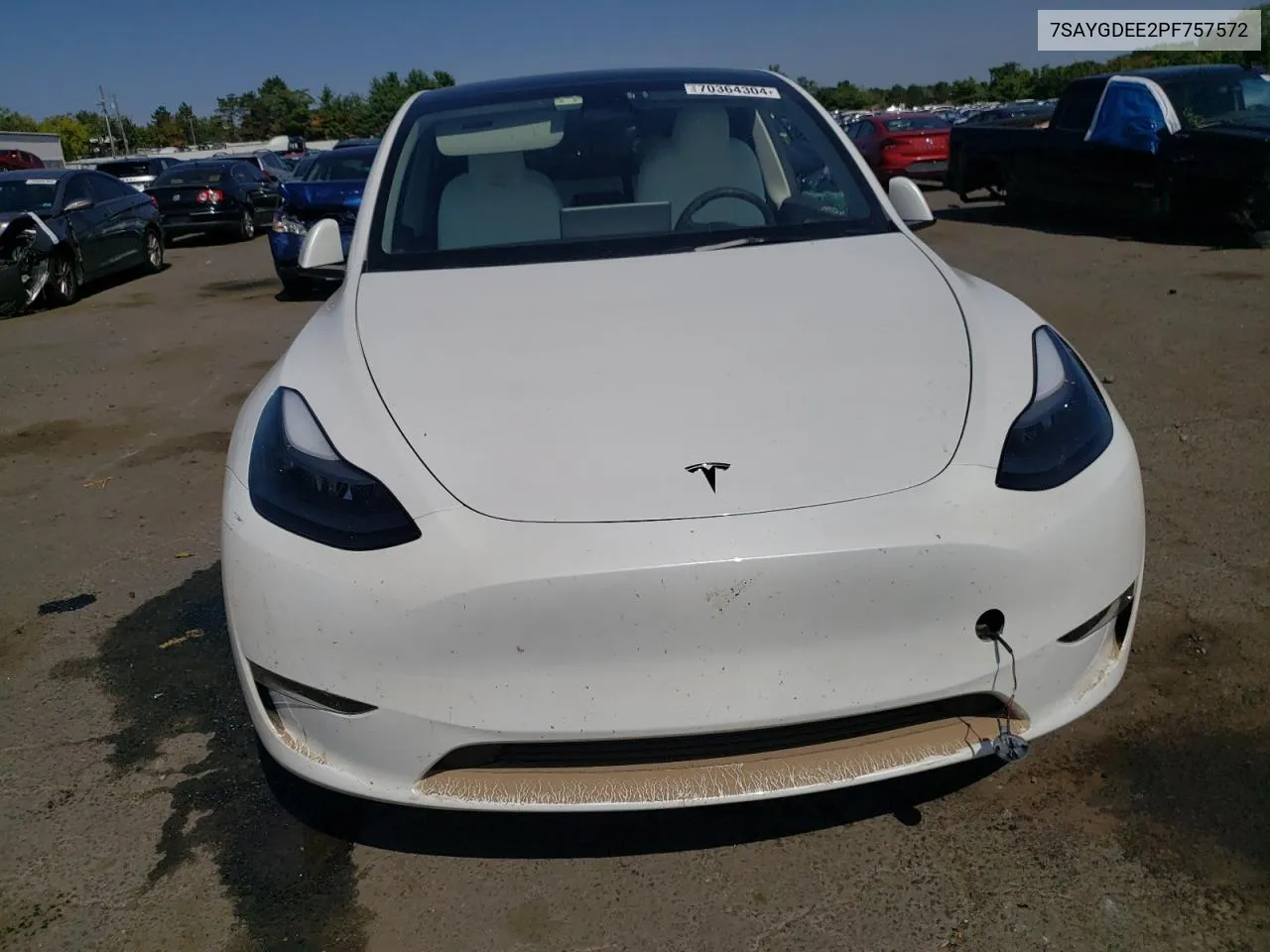 2023 Tesla Model Y VIN: 7SAYGDEE2PF757572 Lot: 70364304