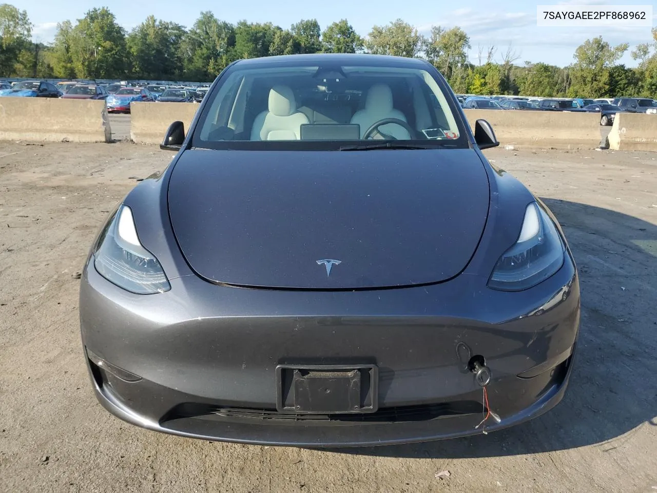 2023 Tesla Model Y VIN: 7SAYGAEE2PF868962 Lot: 70499024