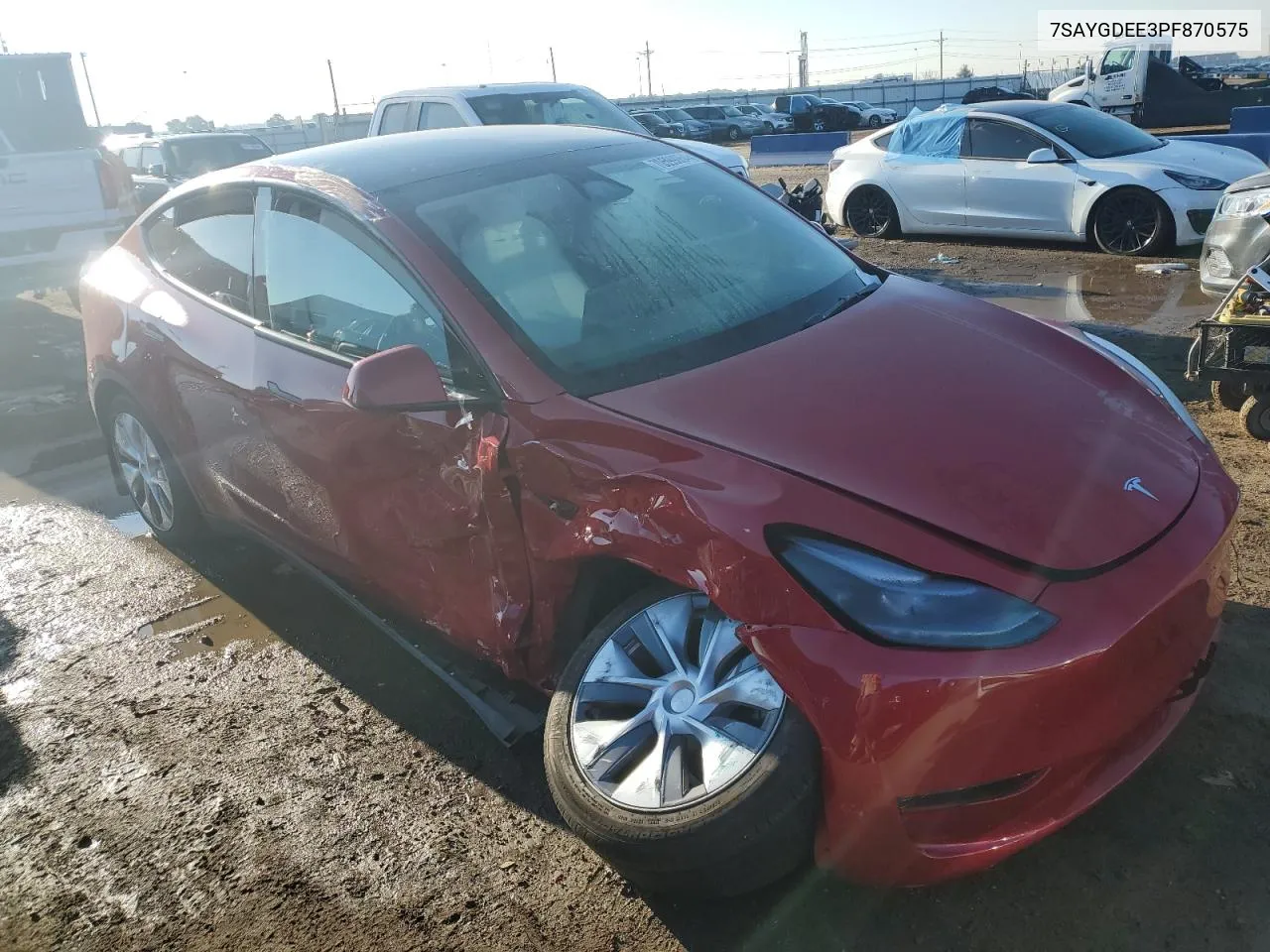 2023 Tesla Model Y VIN: 7SAYGDEE3PF870575 Lot: 70599064