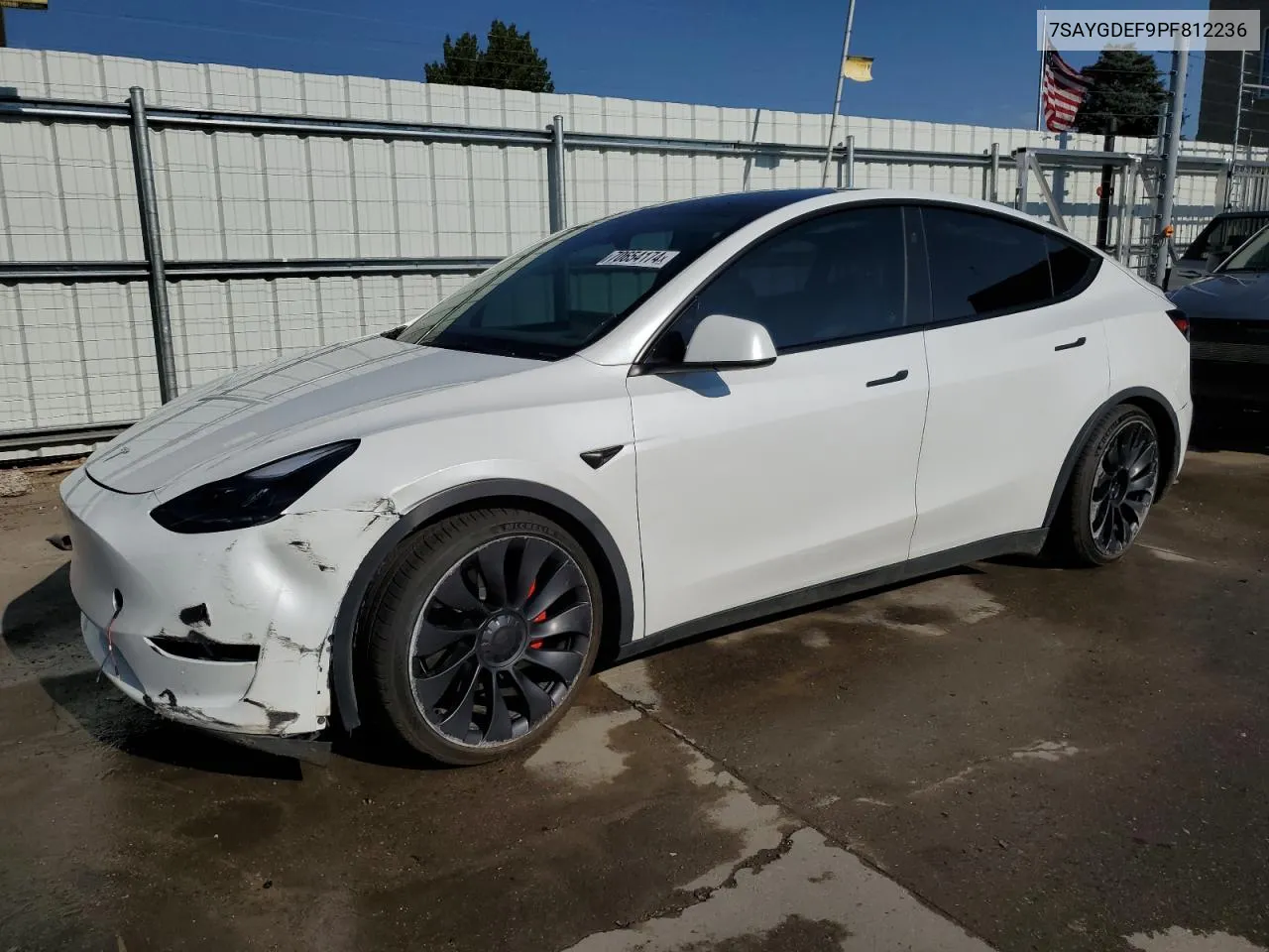 2023 Tesla Model Y VIN: 7SAYGDEF9PF812236 Lot: 70654174