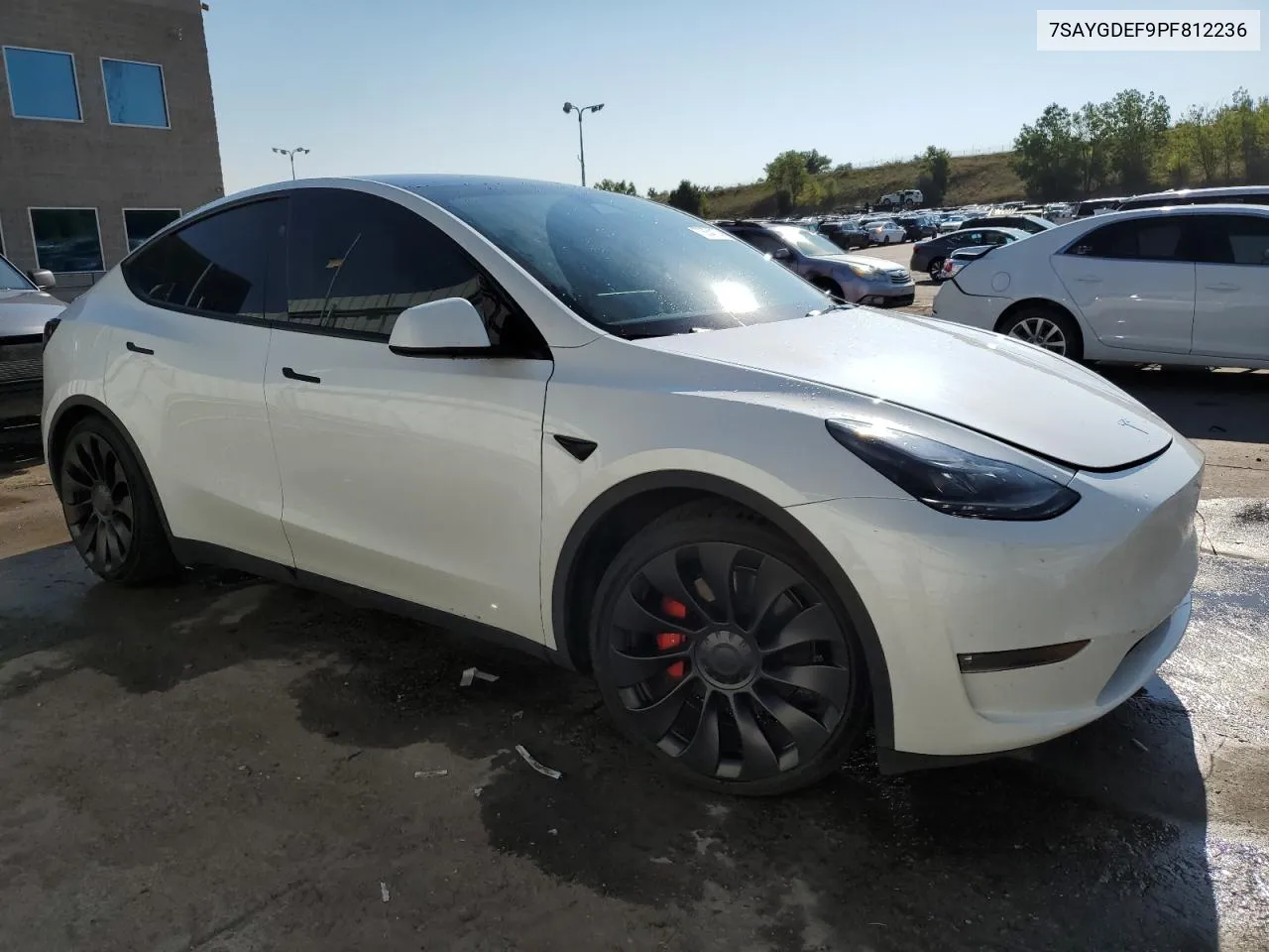 2023 Tesla Model Y VIN: 7SAYGDEF9PF812236 Lot: 70654174