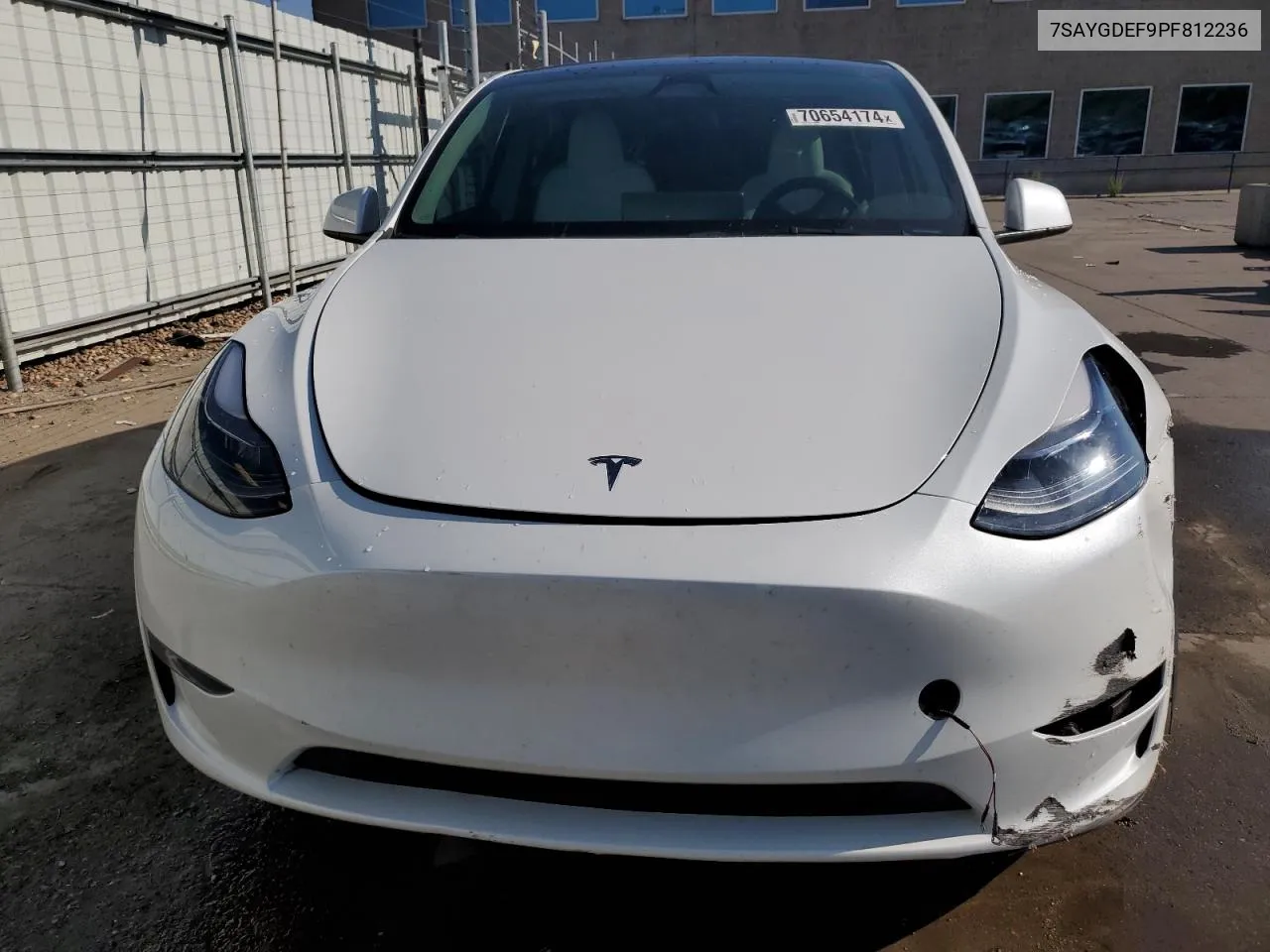 2023 Tesla Model Y VIN: 7SAYGDEF9PF812236 Lot: 70654174