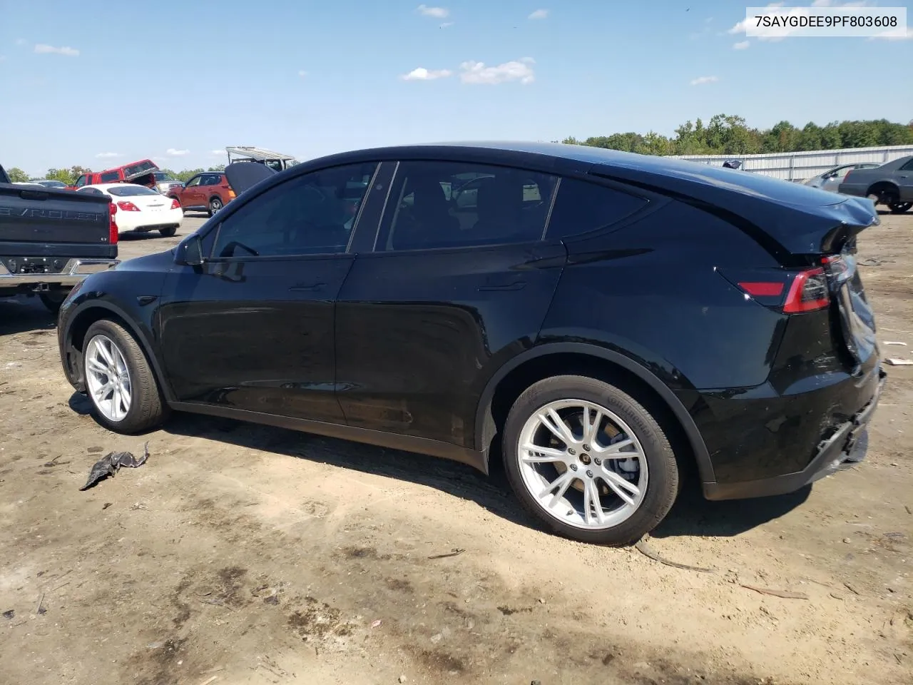 2023 Tesla Model Y VIN: 7SAYGDEE9PF803608 Lot: 70786814