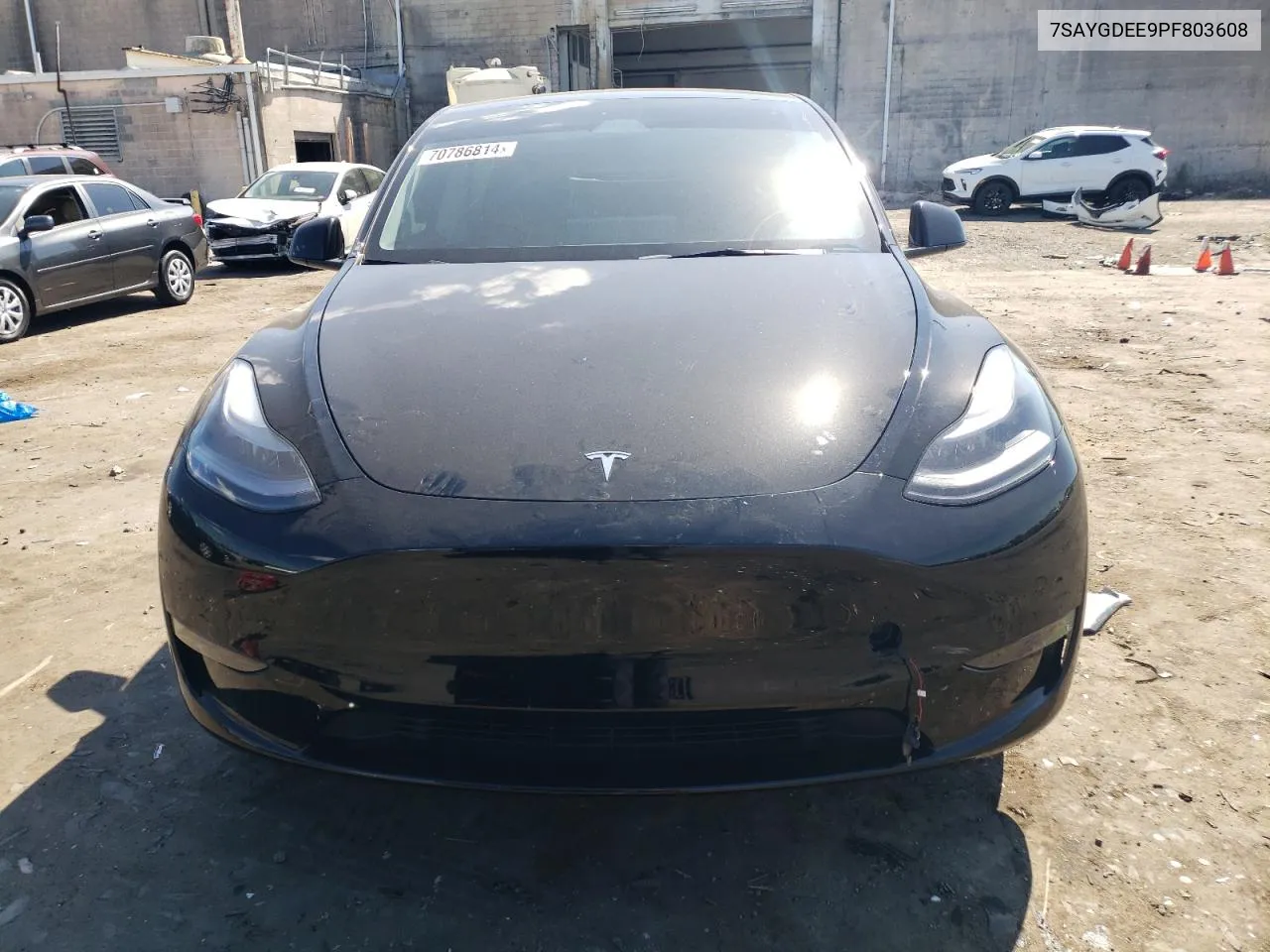 2023 Tesla Model Y VIN: 7SAYGDEE9PF803608 Lot: 70786814