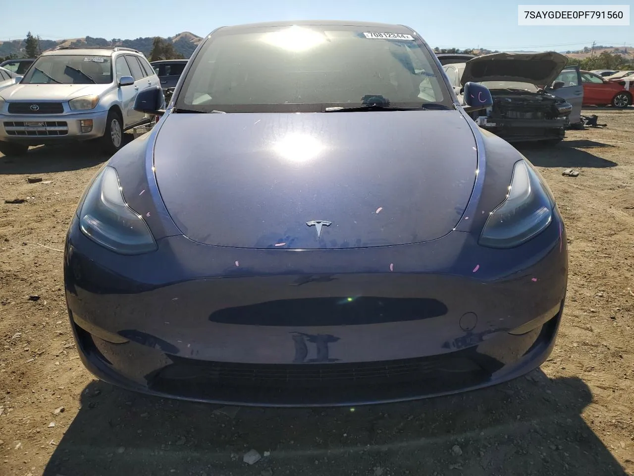 2023 Tesla Model Y VIN: 7SAYGDEE0PF791560 Lot: 70812344