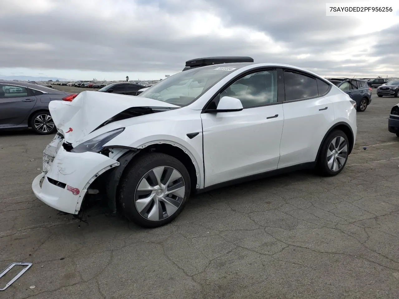 2023 Tesla Model Y VIN: 7SAYGDED2PF956256 Lot: 70833384