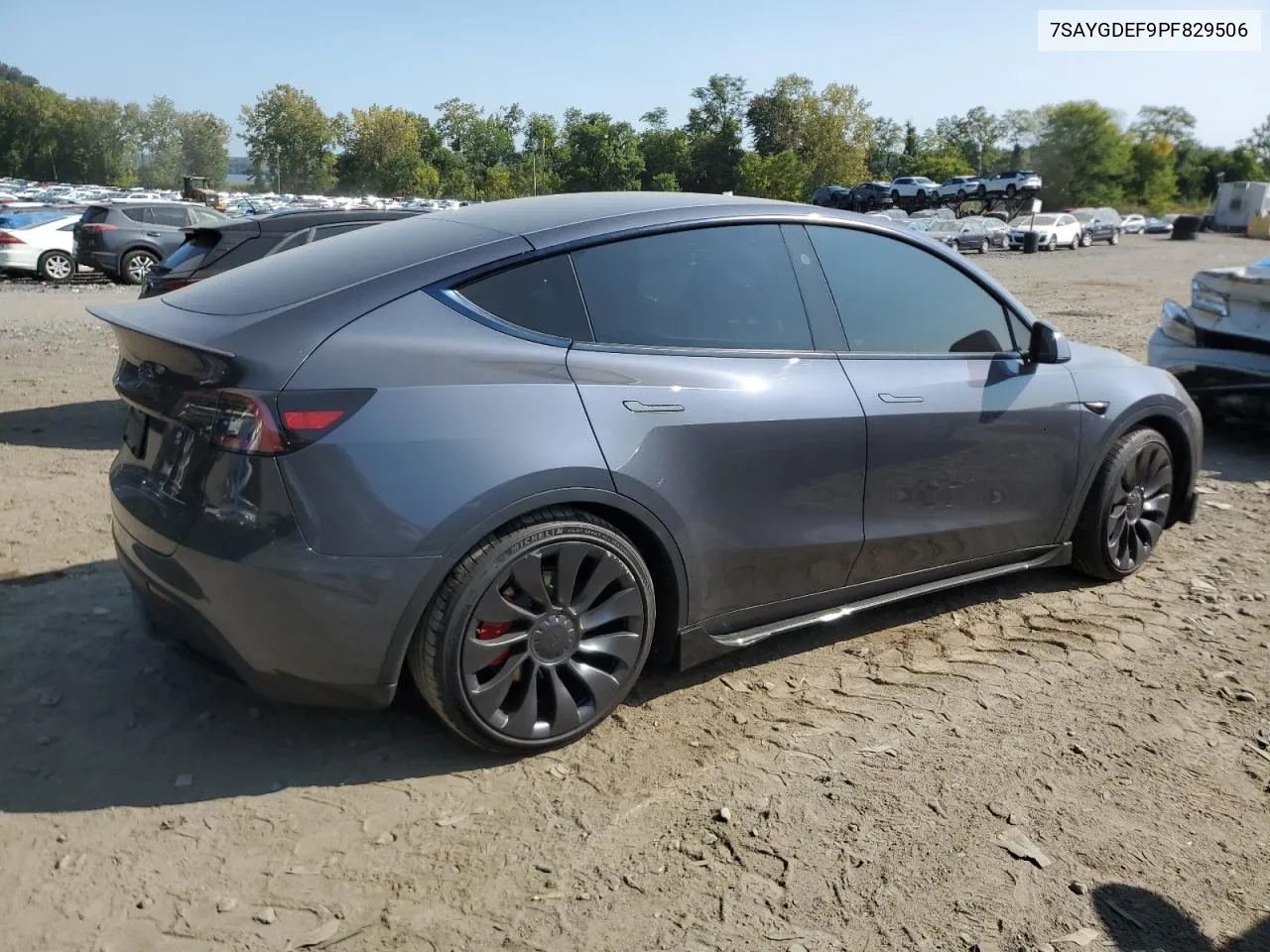 2023 Tesla Model Y VIN: 7SAYGDEF9PF829506 Lot: 70870574