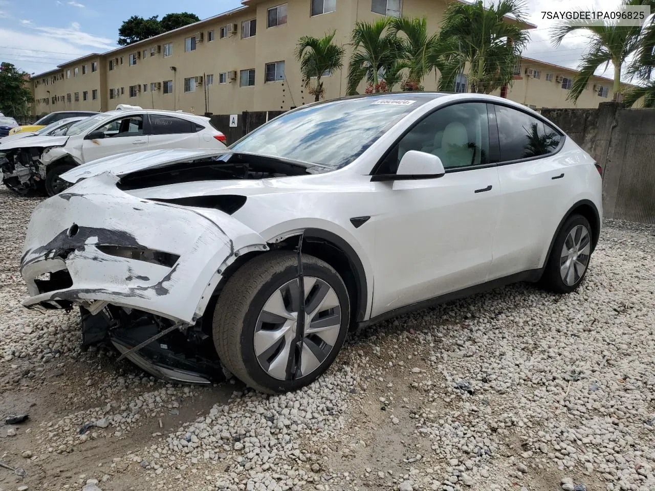 2023 Tesla Model Y VIN: 7SAYGDEE1PA096825 Lot: 70920424