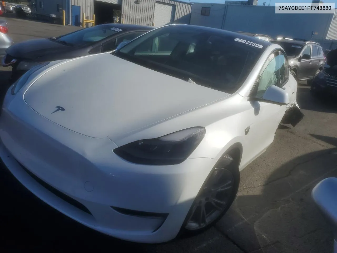 2023 Tesla Model Y VIN: 7SAYGDEE1PF748880 Lot: 71105804