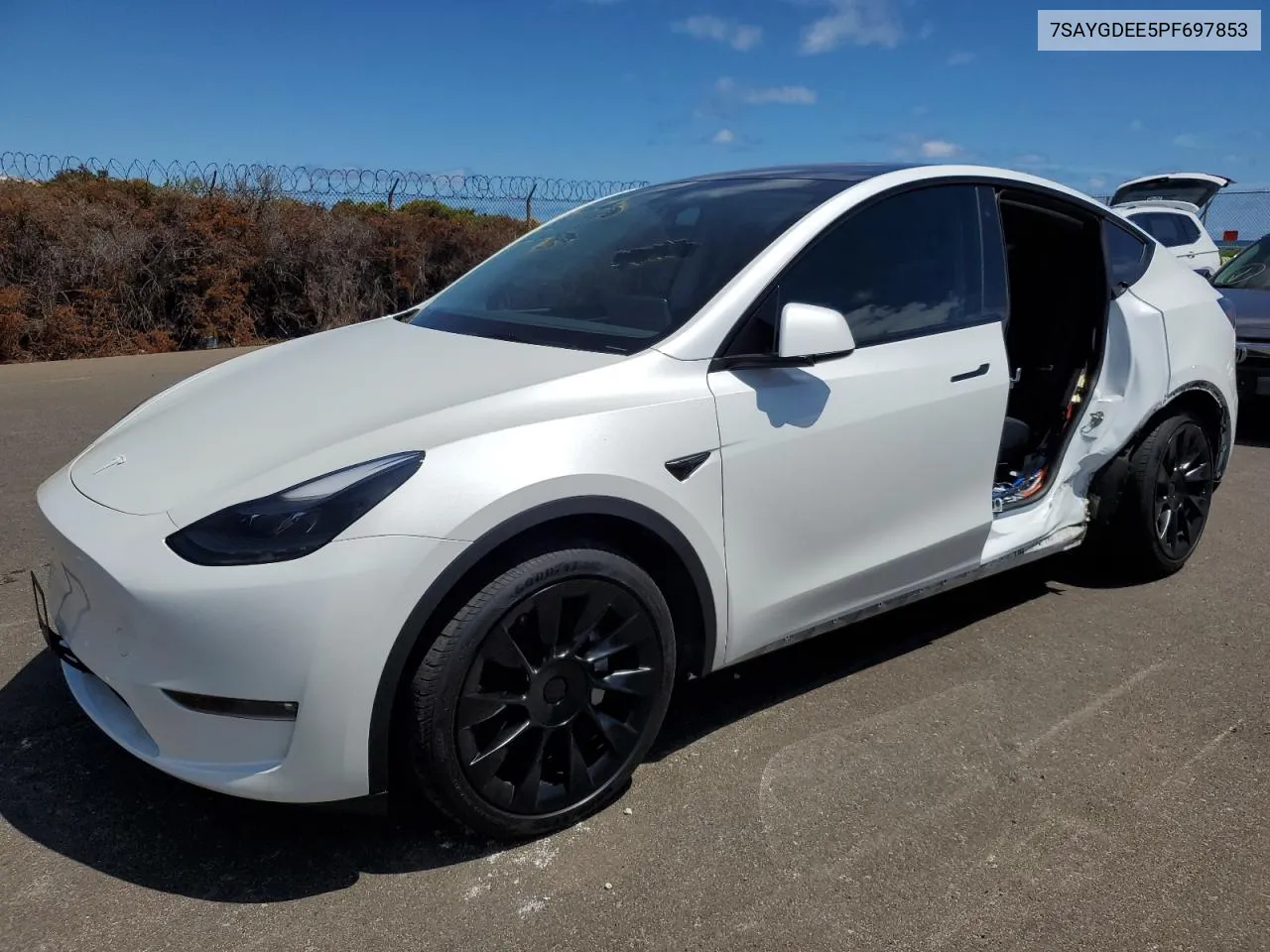 2023 Tesla Model Y VIN: 7SAYGDEE5PF697853 Lot: 71106024