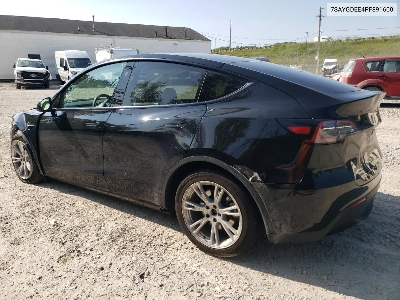 2023 Tesla Model Y VIN: 7SAYGDEE4PF891600 Lot: 71160134